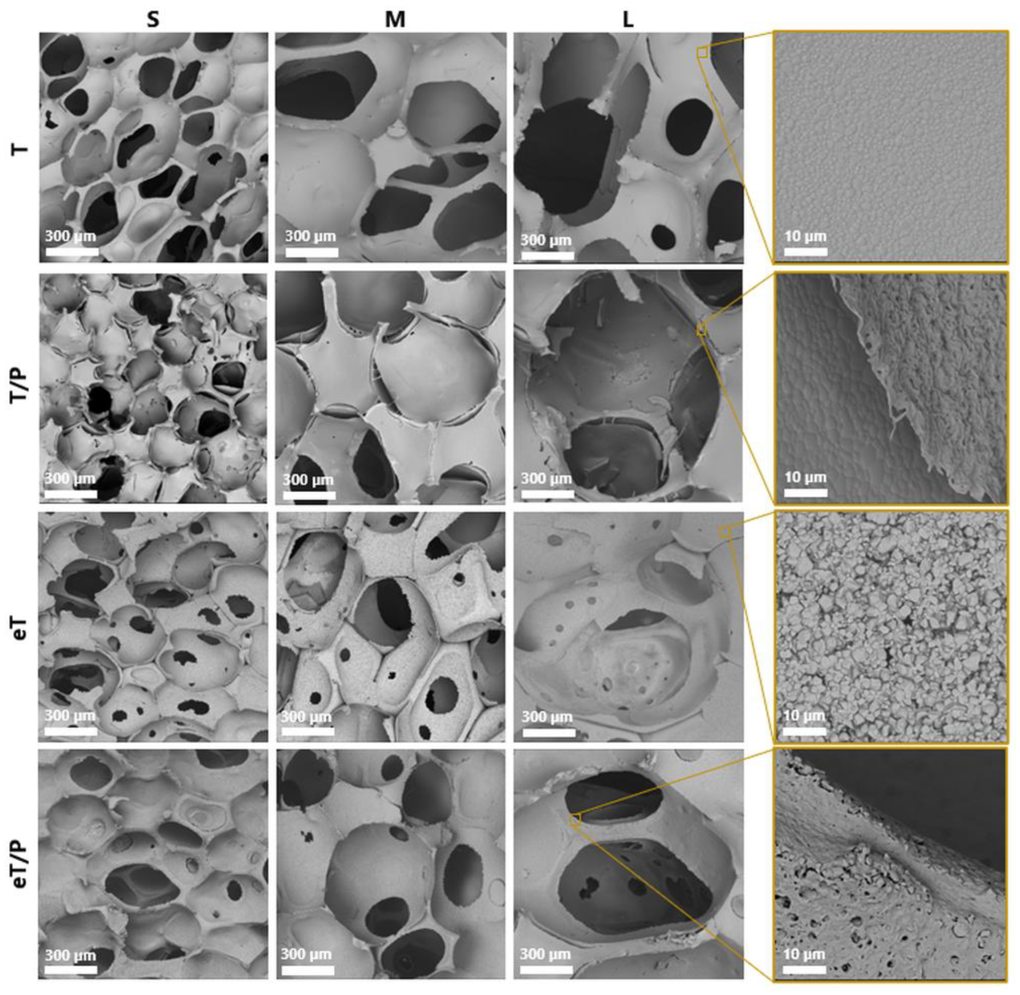 Ijms 23 11587 g003 Ijms 23 11587 g003