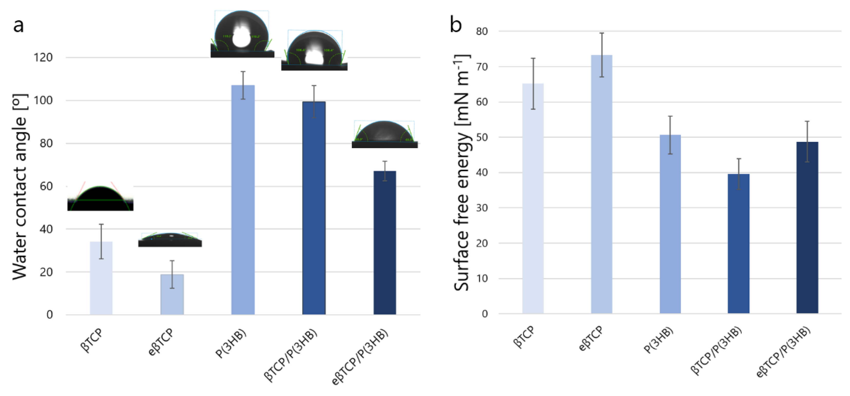 Ijms 23 11587 g007 Ijms 23 11587 g007