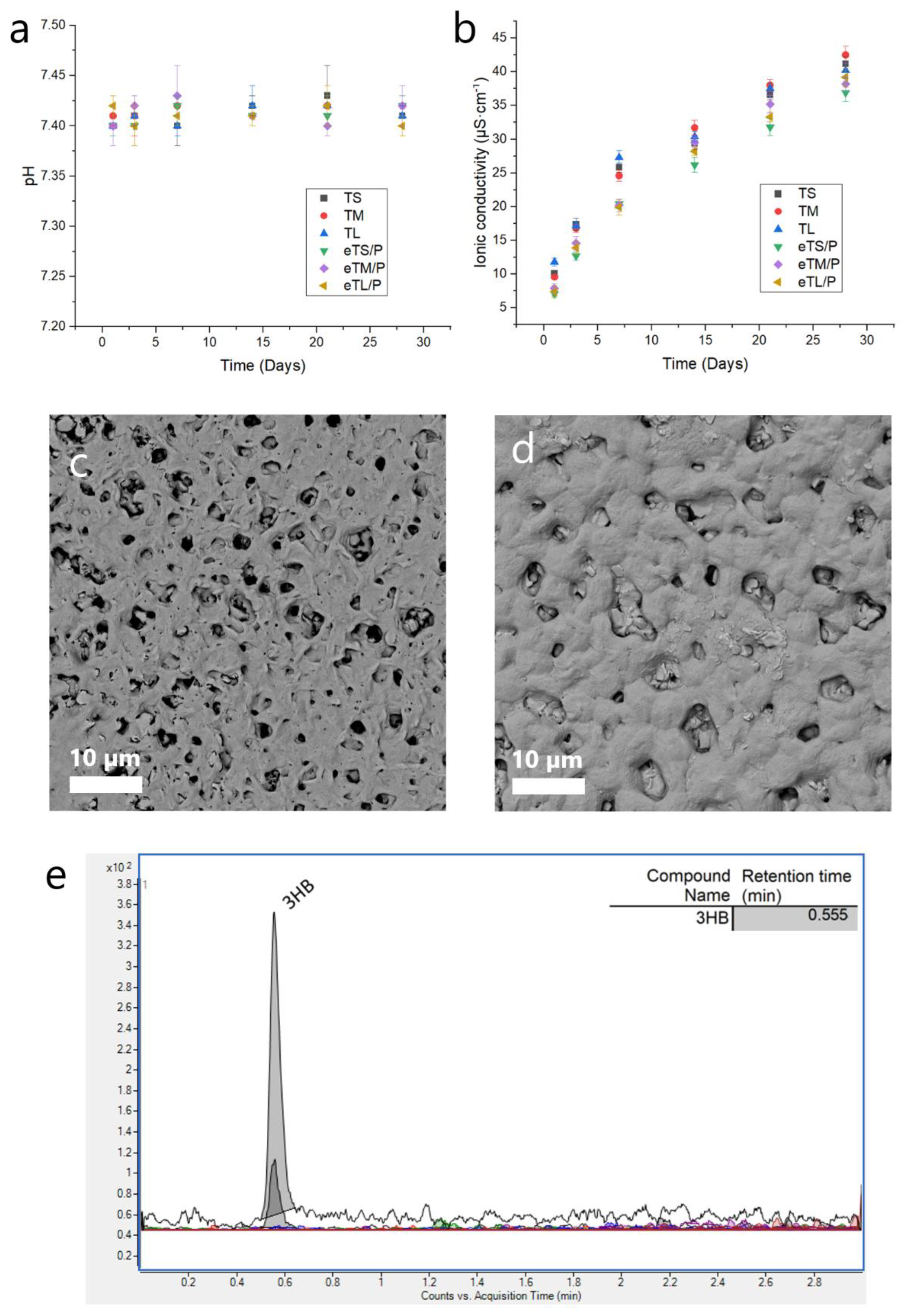 Ijms 23 11587 g010 Ijms 23 11587 g010