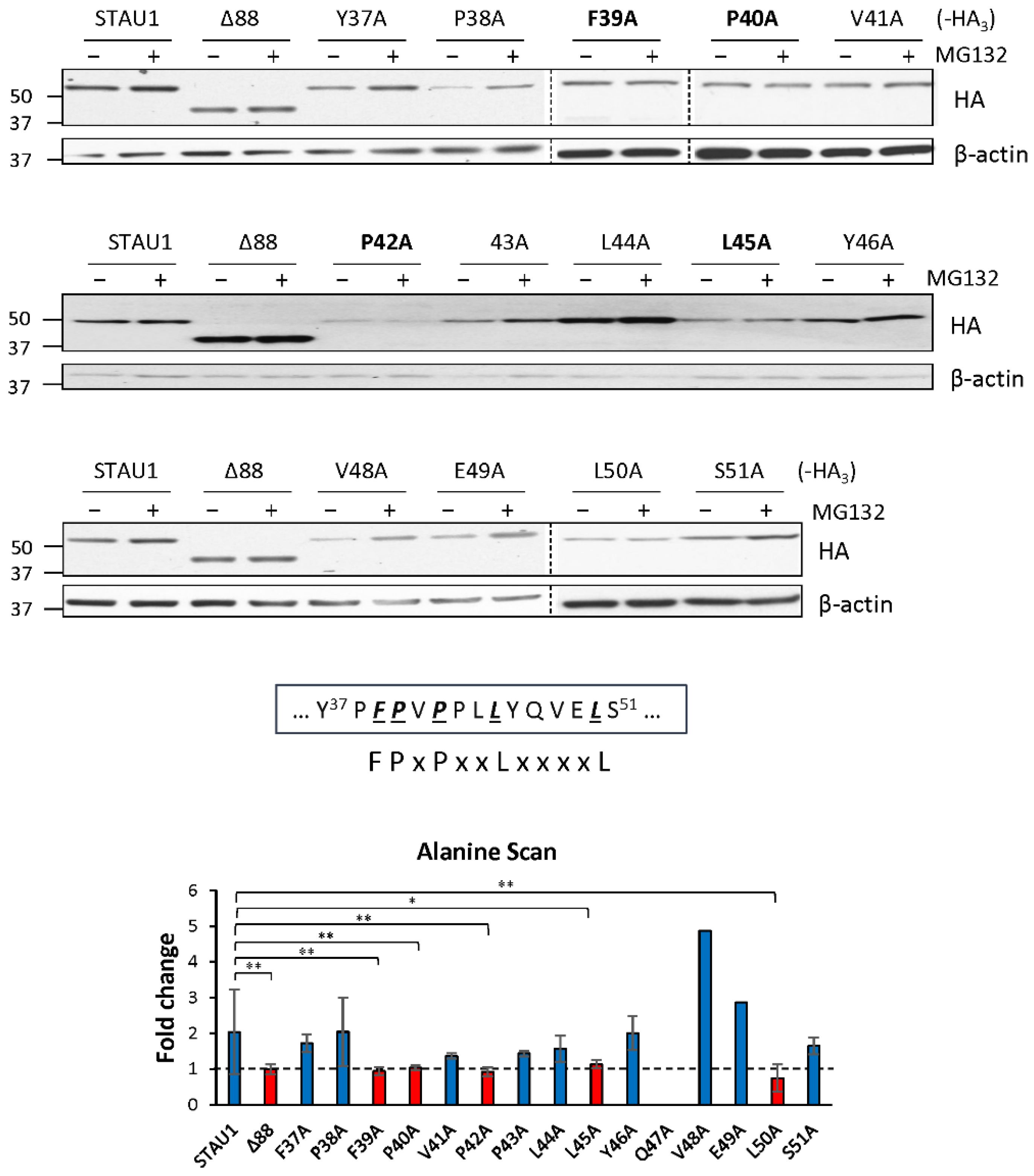 Ijms 23 11588 g003 Ijms 23 11588 g003