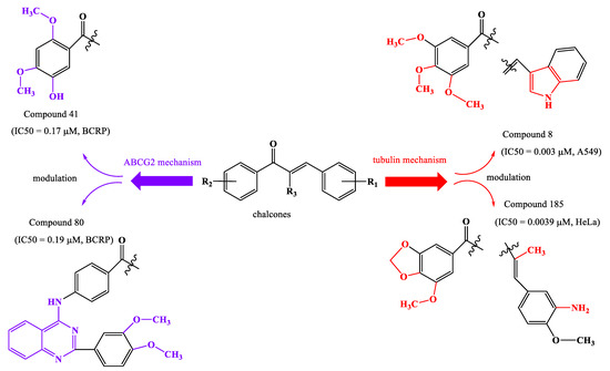 Two Important Anticancer Mechanisms of Natural and Synthetic Chalcones