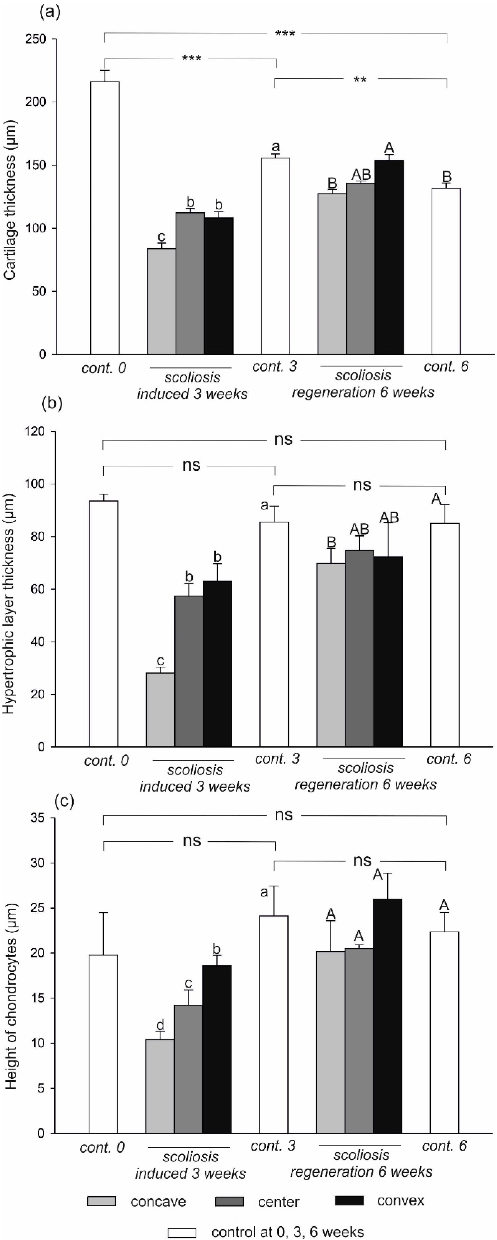 Ijms 23 11596 g002 550