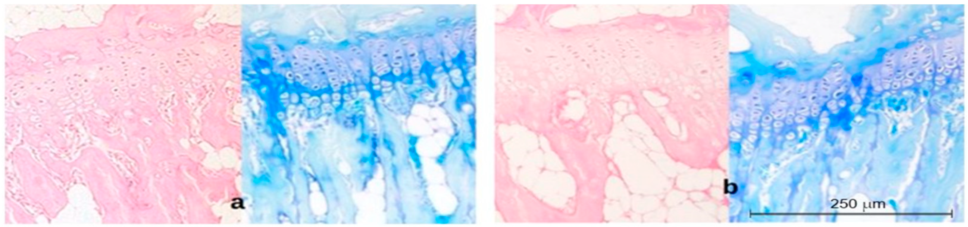 Ijms 23 11596 g003 550