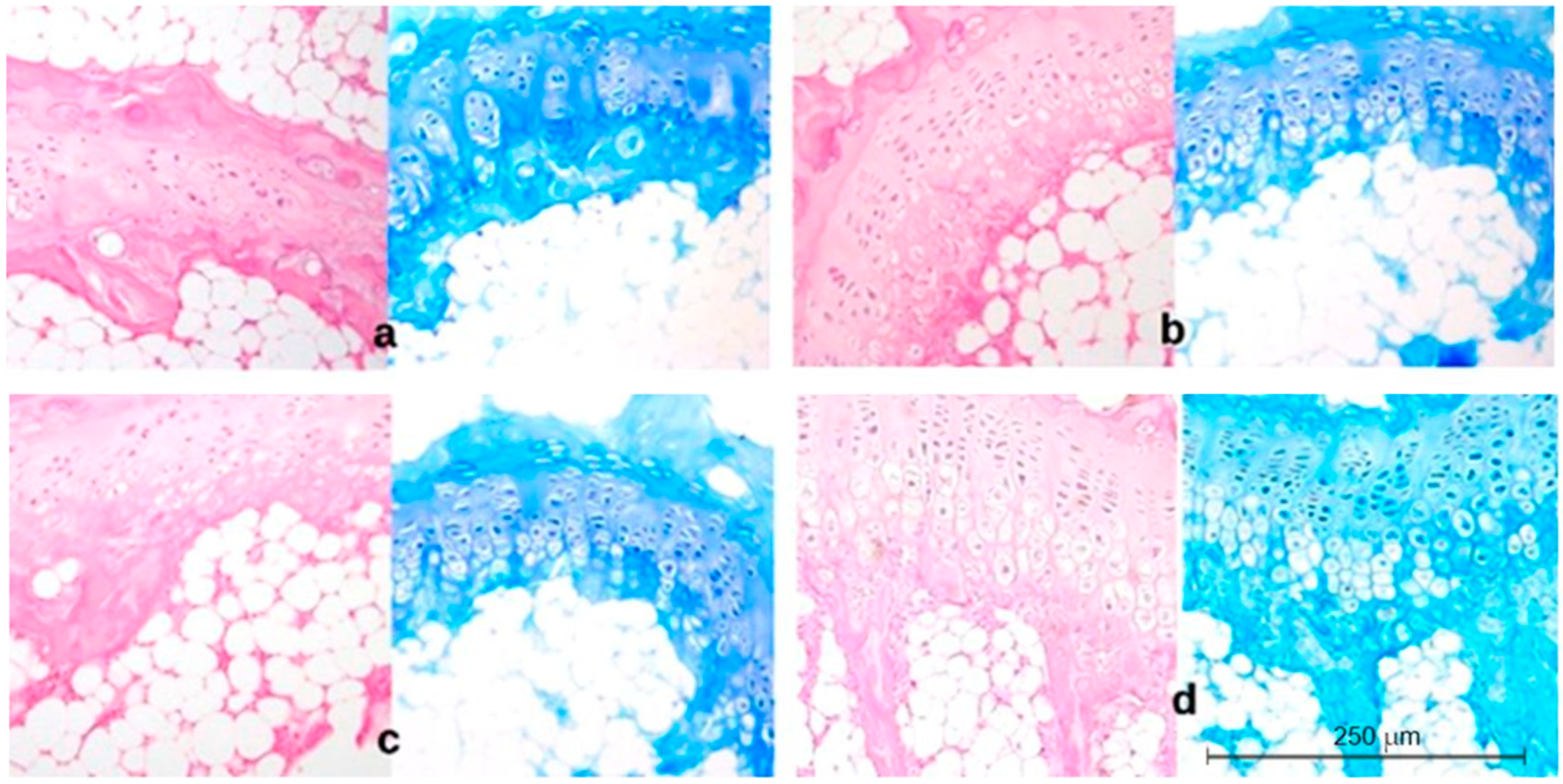 Ijms 23 11596 g004 550