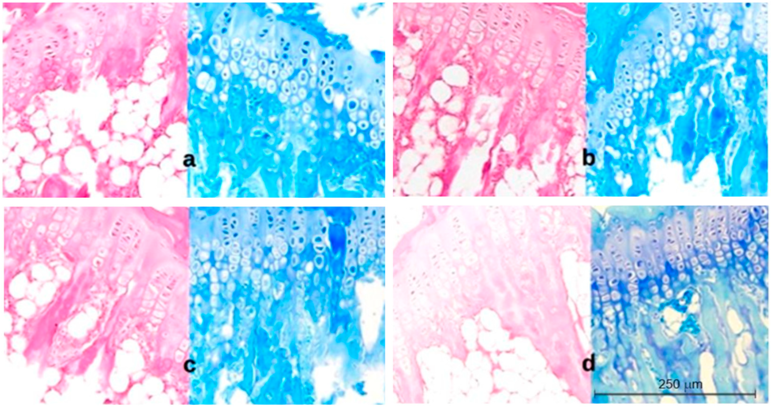 Ijms 23 11596 g005 550