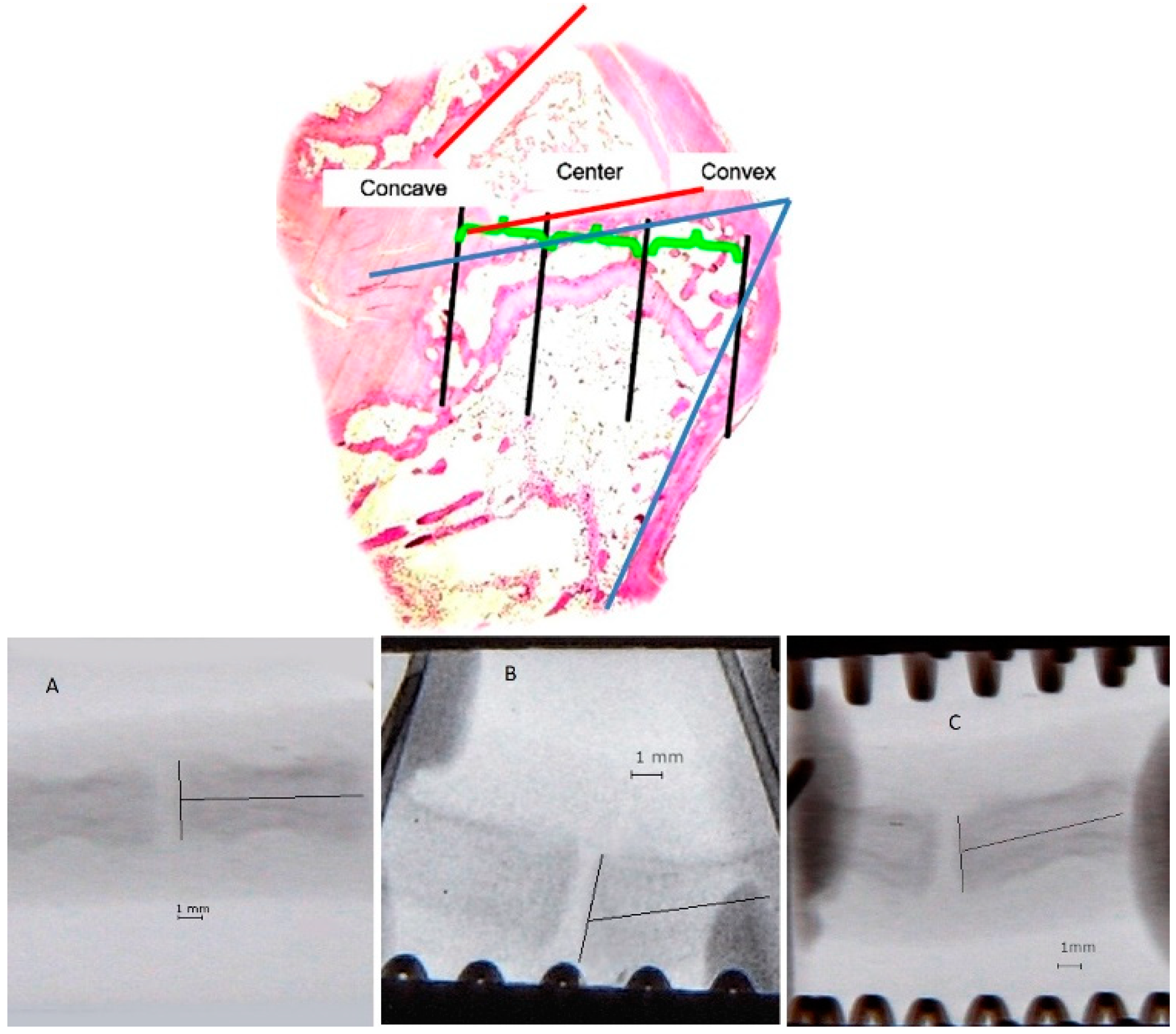 Ijms 23 11596 g008 550