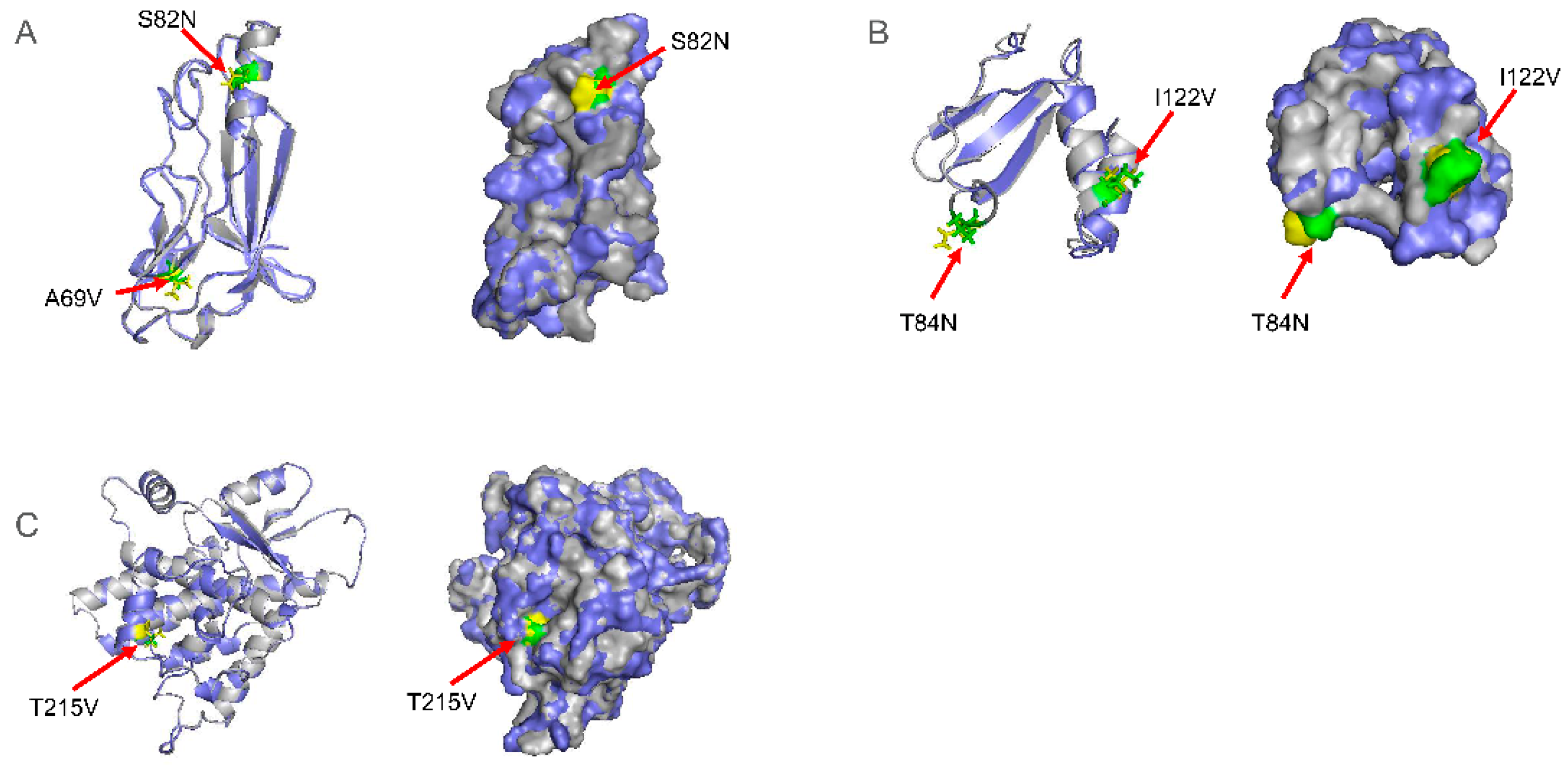 Ijms 23 11597 g002 Ijms 23 11597 g002