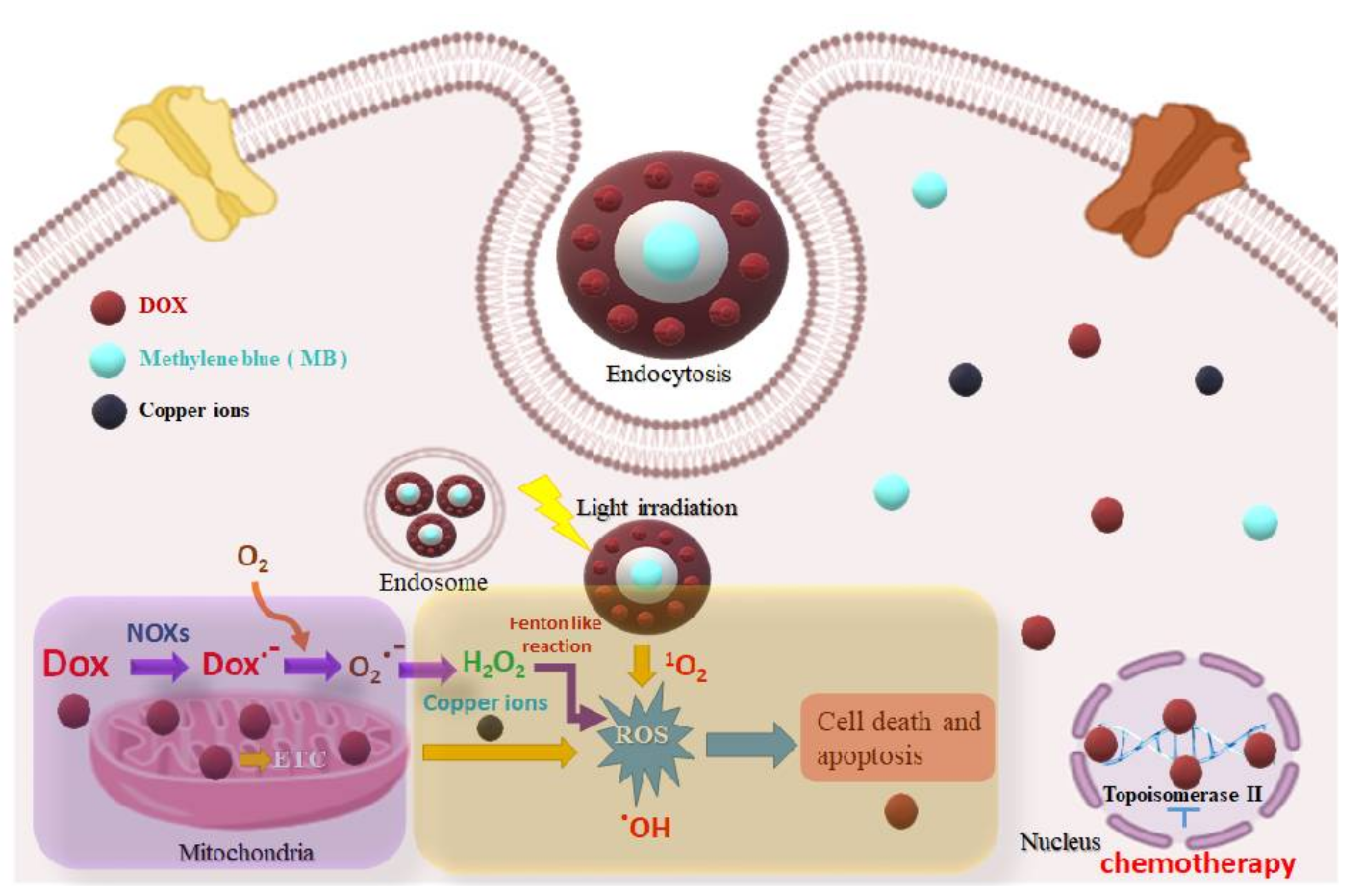 Ijms 23 11604 g001 Ijms 23 11604 g001