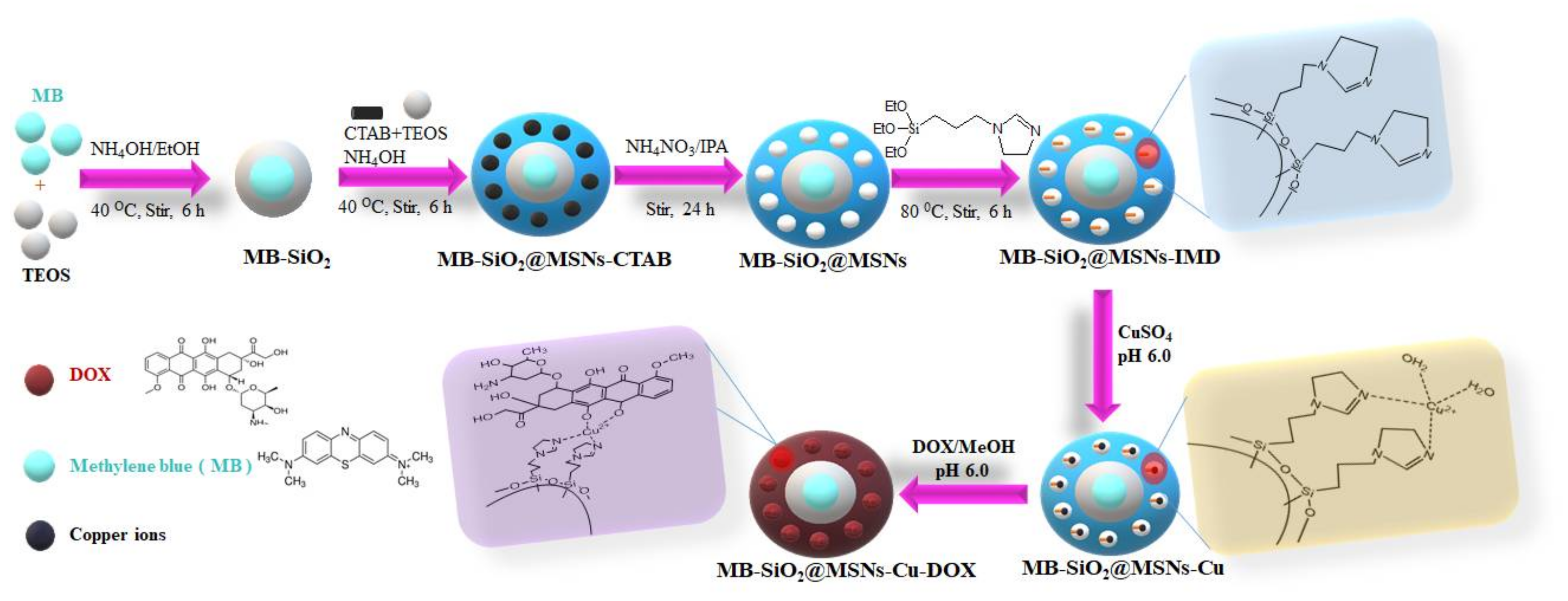 Ijms 23 11604 g002 Ijms 23 11604 g002