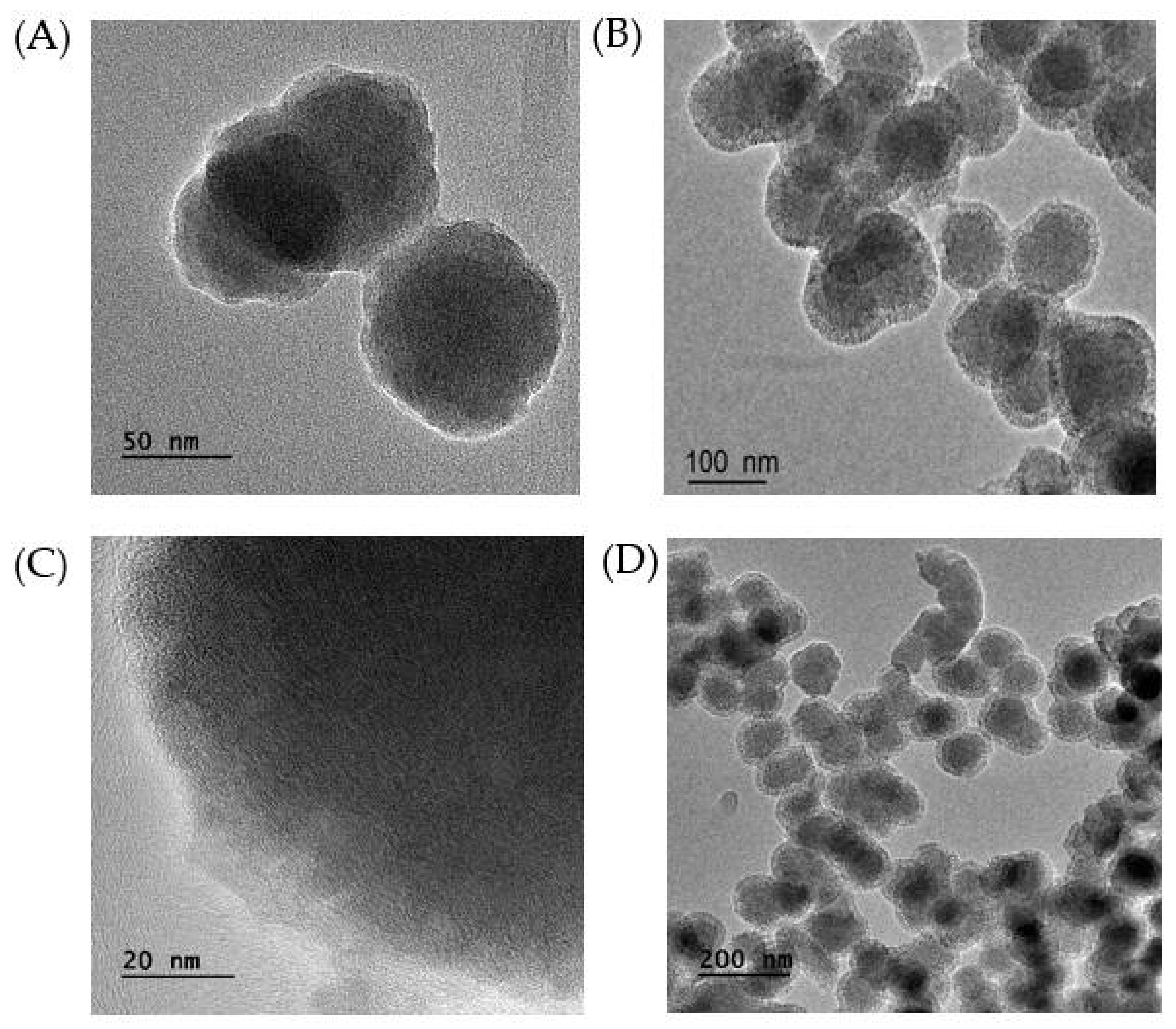 Ijms 23 11604 g003 Ijms 23 11604 g003