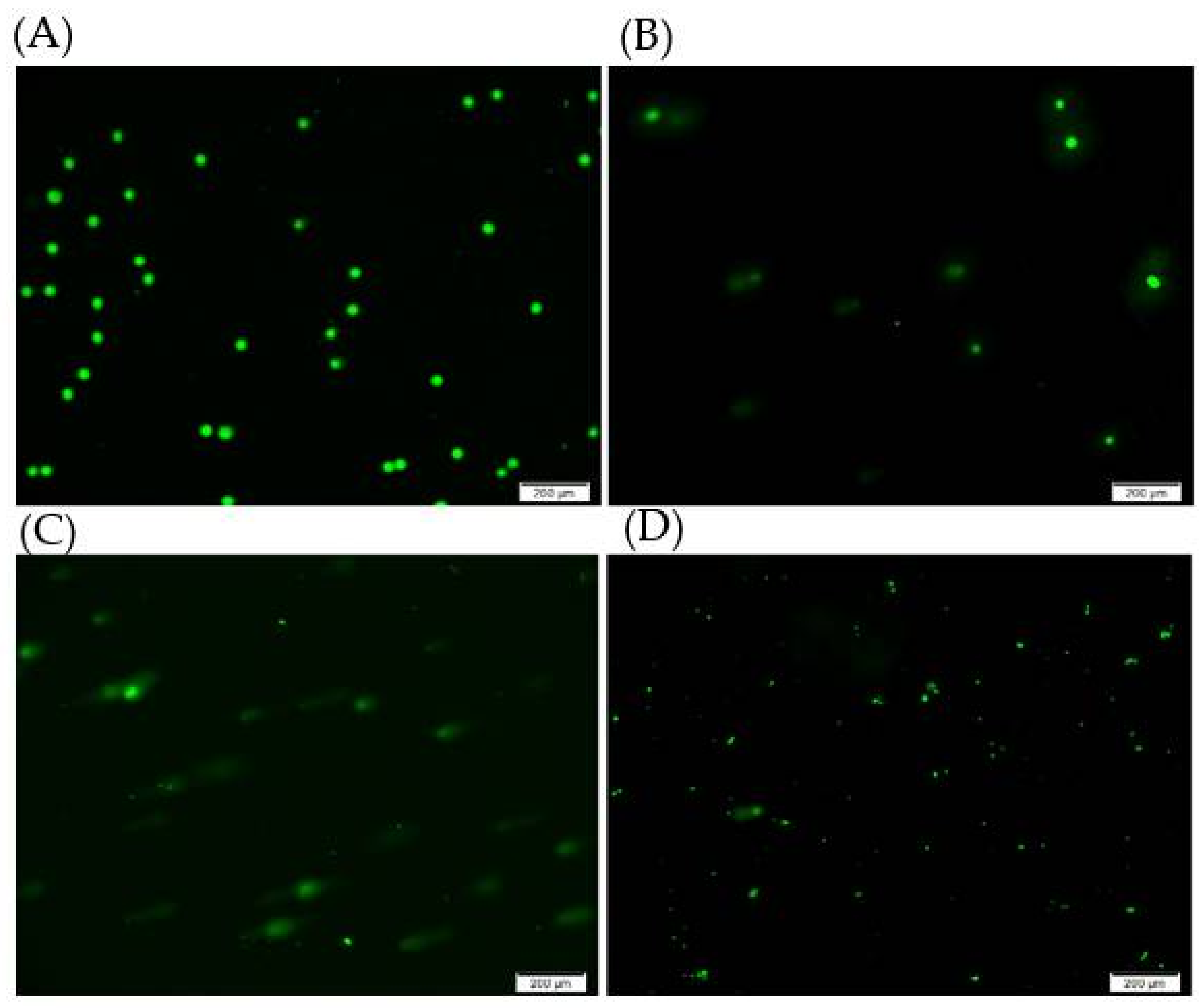 Ijms 23 11604 g010 Ijms 23 11604 g010