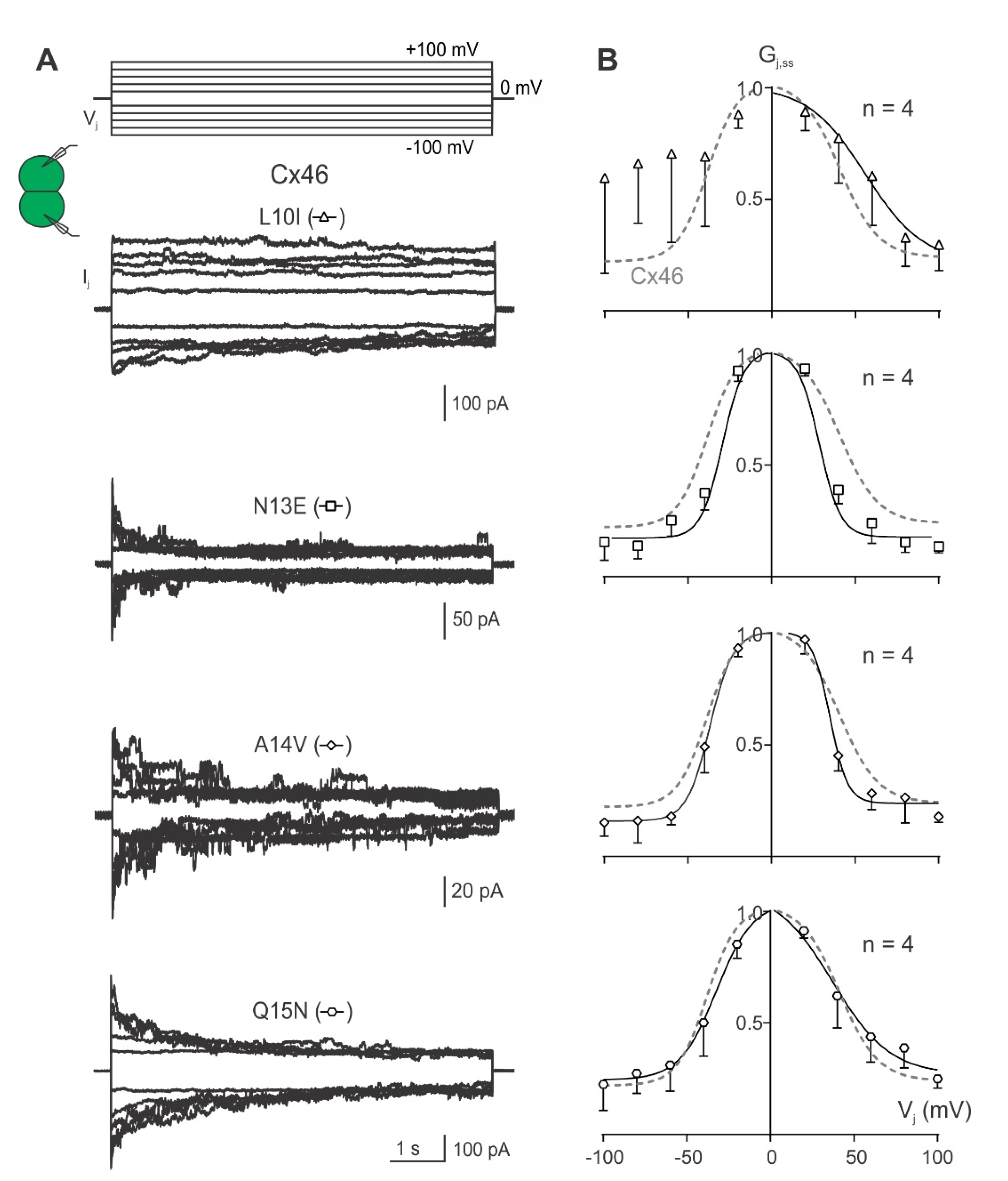 Ijms 23 11605 g004 Ijms 23 11605 g004