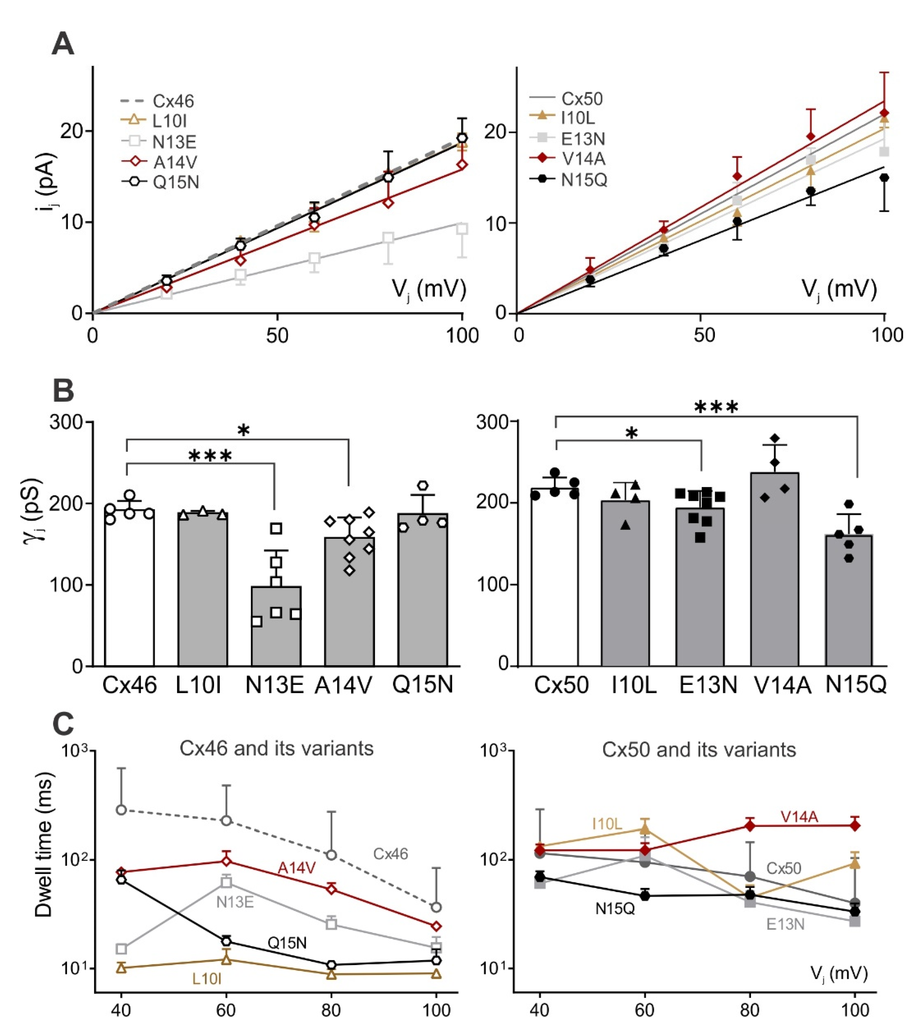 Ijms 23 11605 g008 Ijms 23 11605 g008