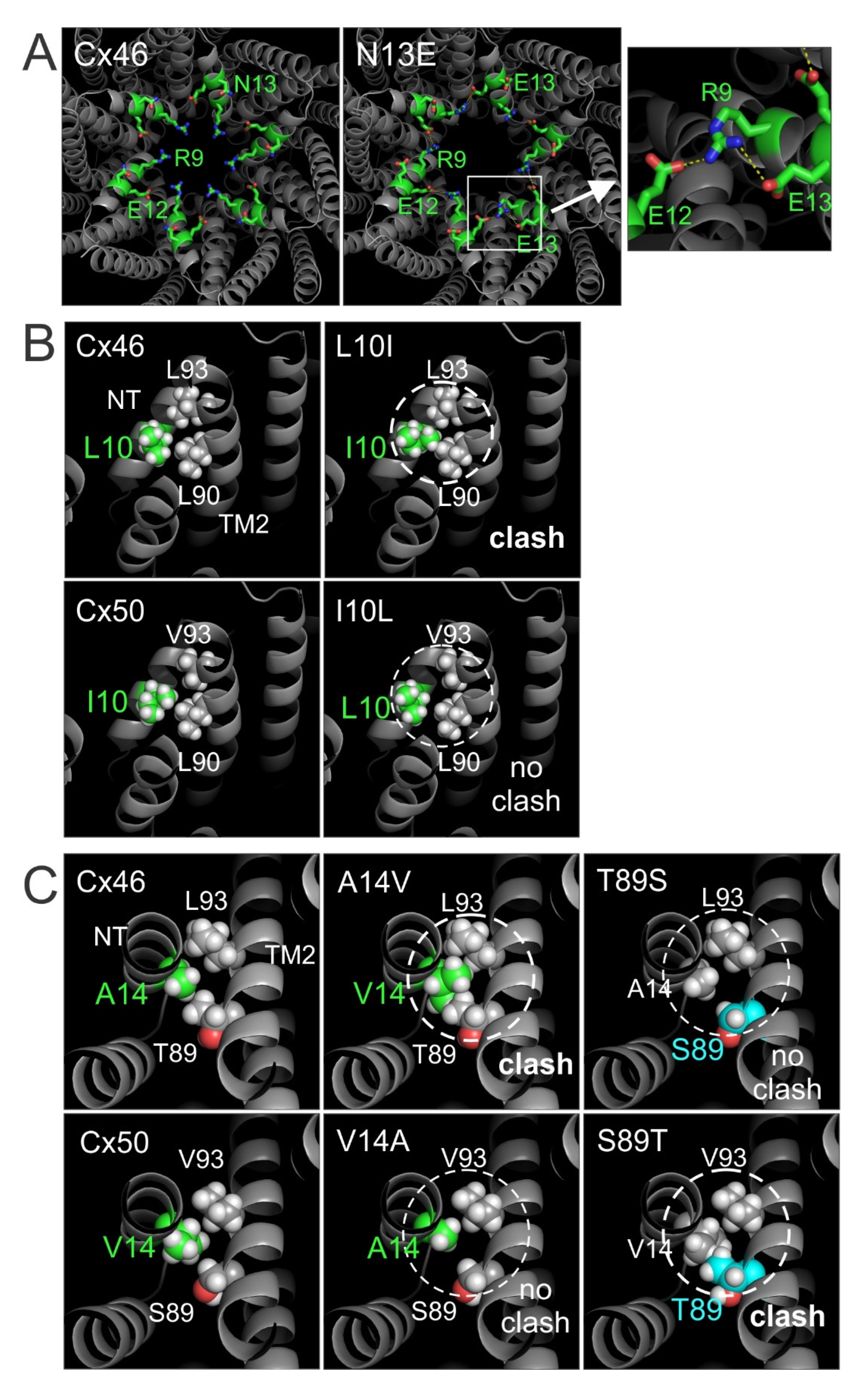 Ijms 23 11605 g009 Ijms 23 11605 g009
