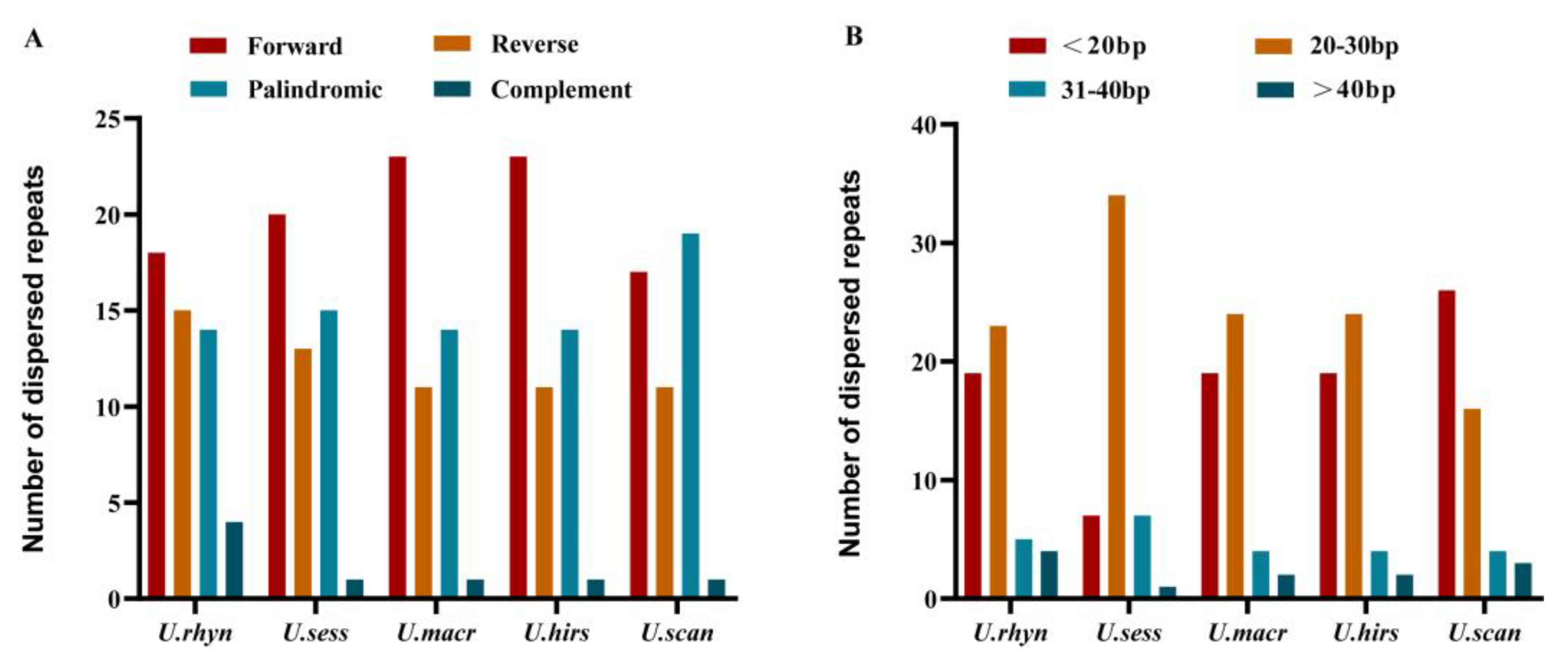 Ijms 23 11617 g005 Ijms 23 11617 g005