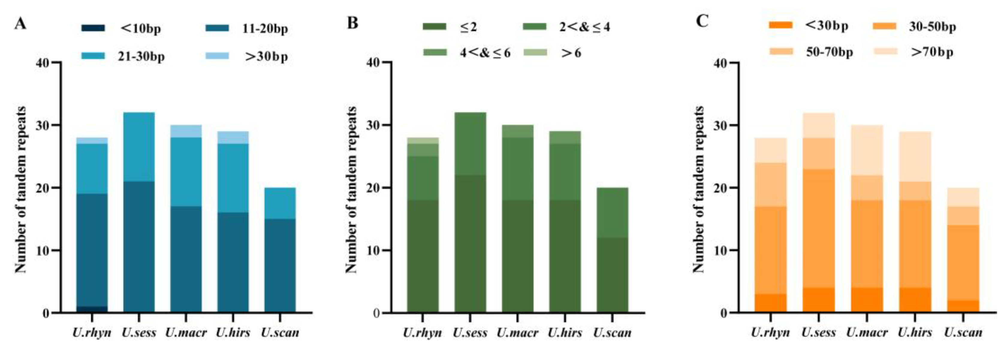 Ijms 23 11617 g006 Ijms 23 11617 g006