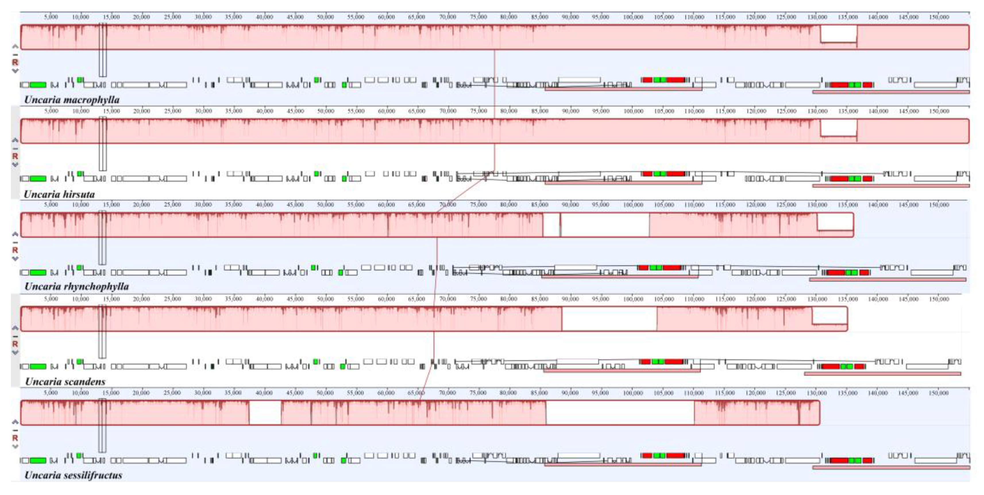 Ijms 23 11617 g009 Ijms 23 11617 g009