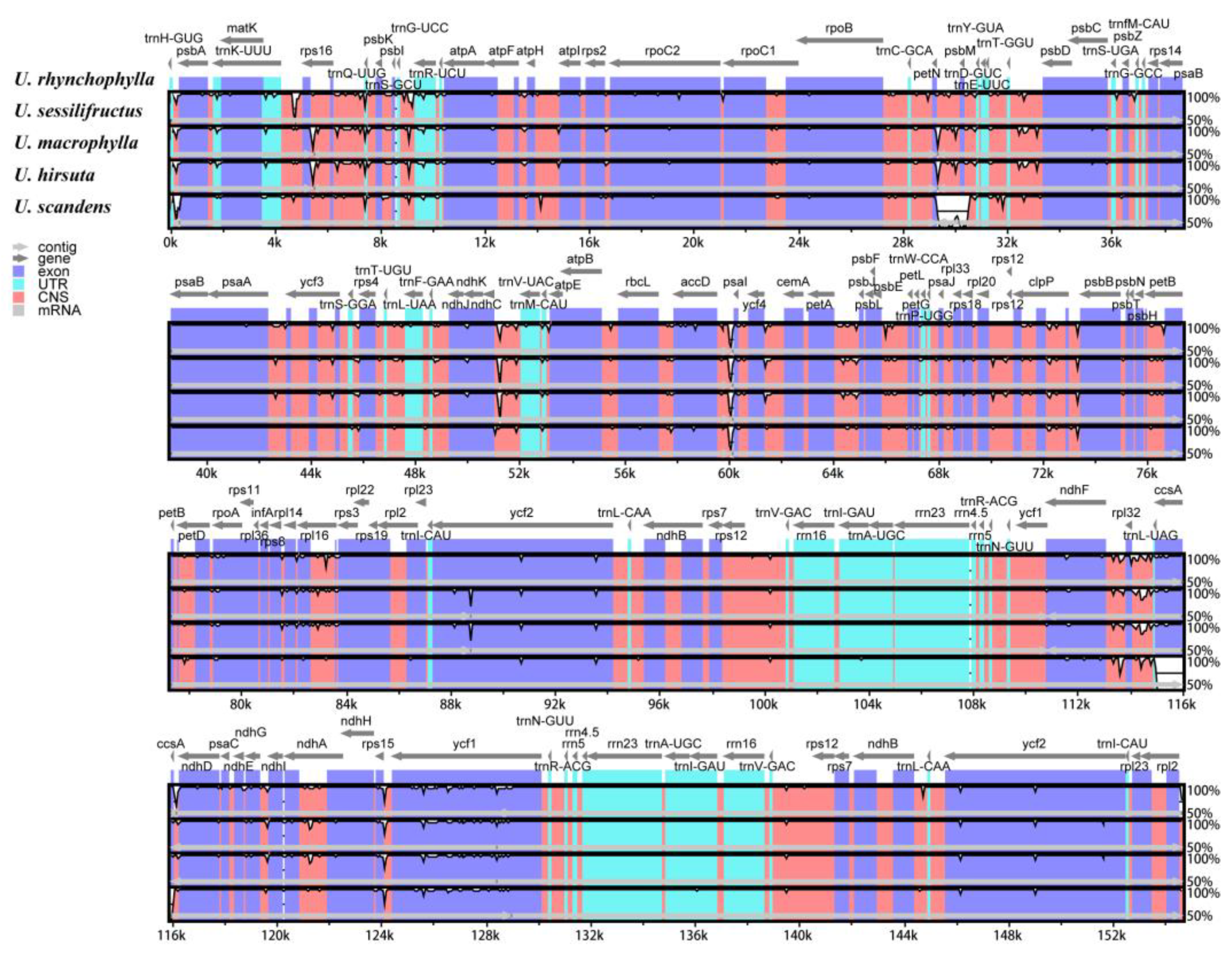 Ijms 23 11617 g012 Ijms 23 11617 g012