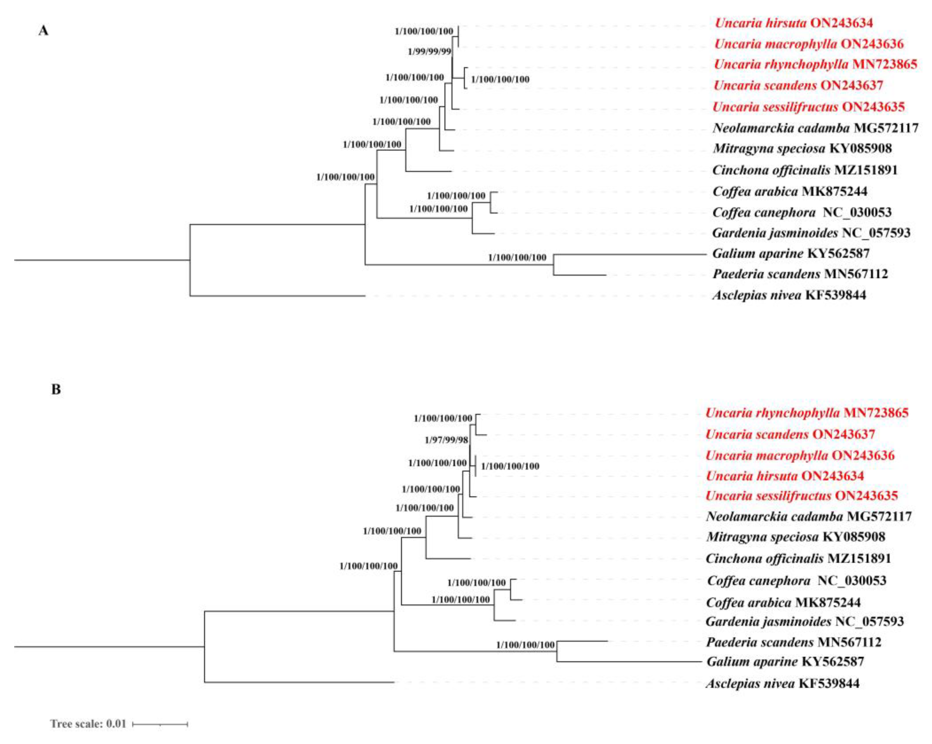 Ijms 23 11617 g014 Ijms 23 11617 g014