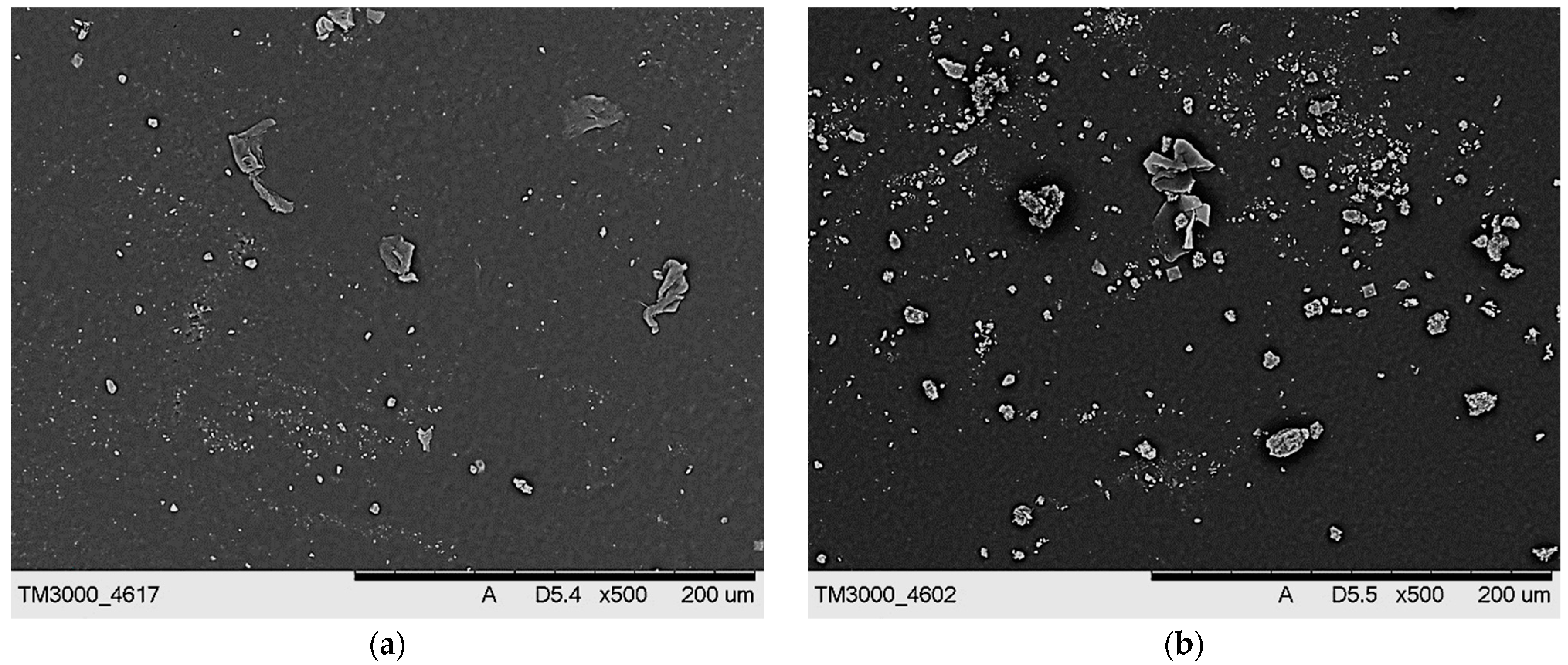 Ijms 23 11618 g010a Ijms 23 11618 g010a