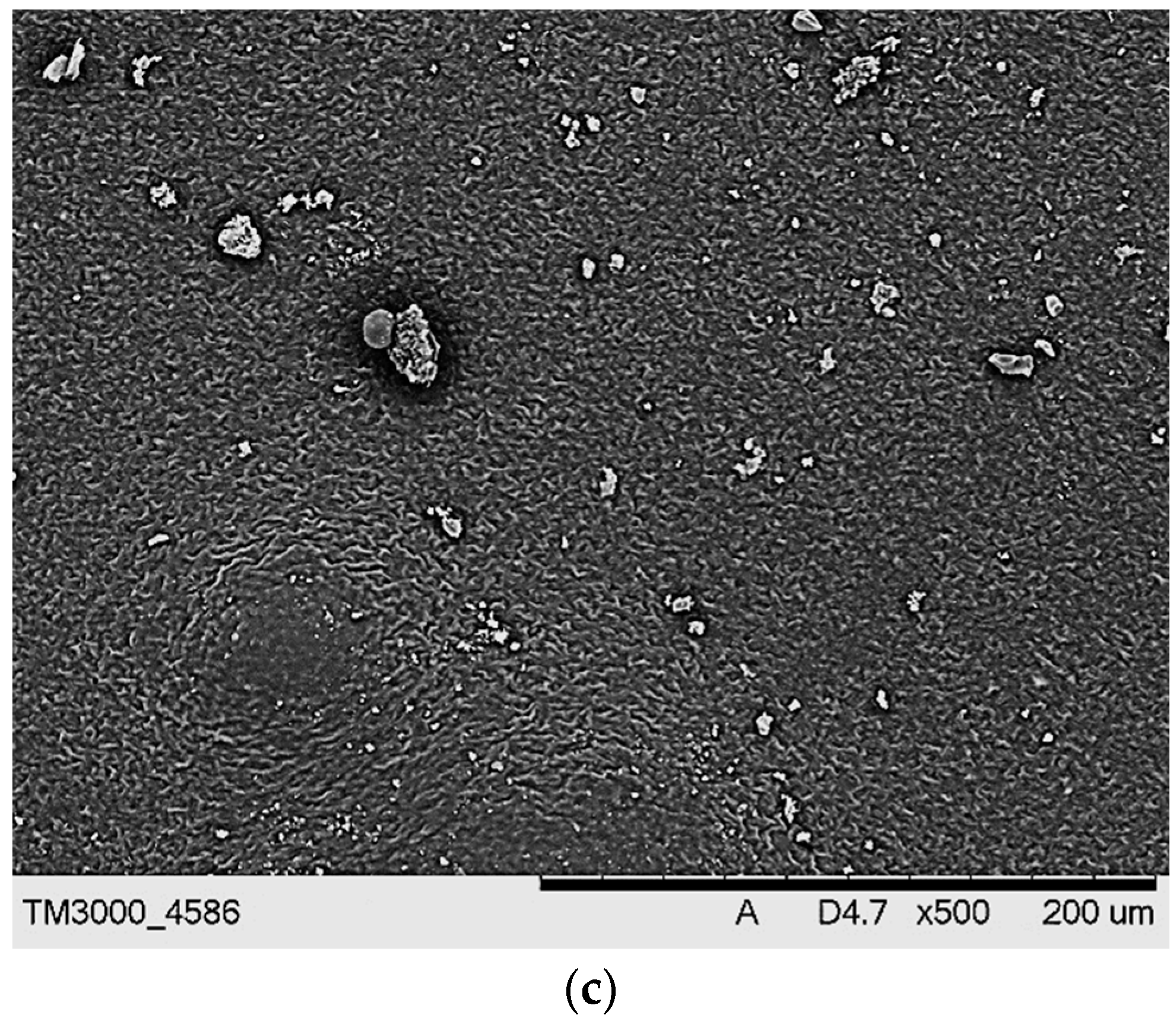 Ijms 23 11618 g010b Ijms 23 11618 g010b