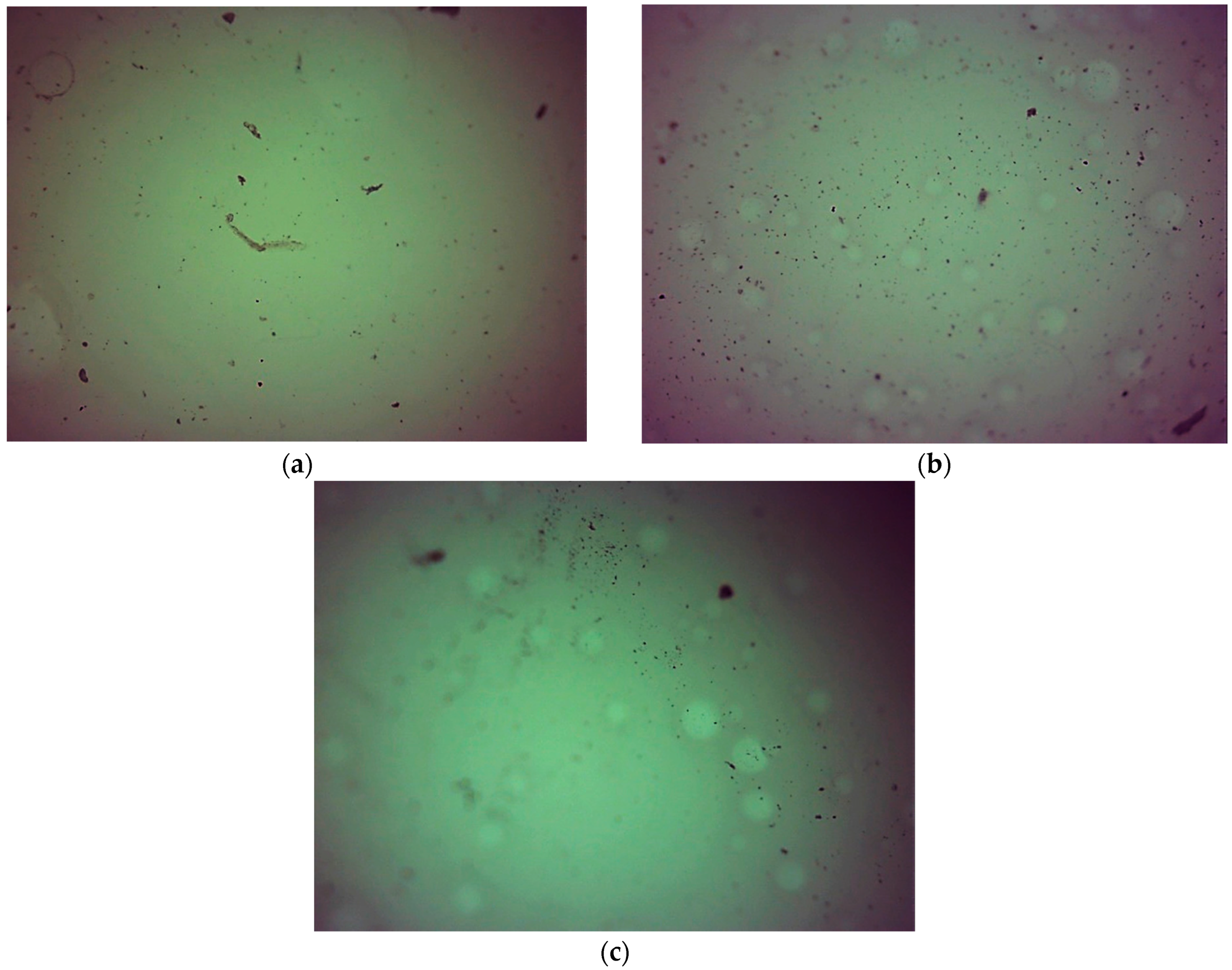 Ijms 23 11618 g012 Ijms 23 11618 g012