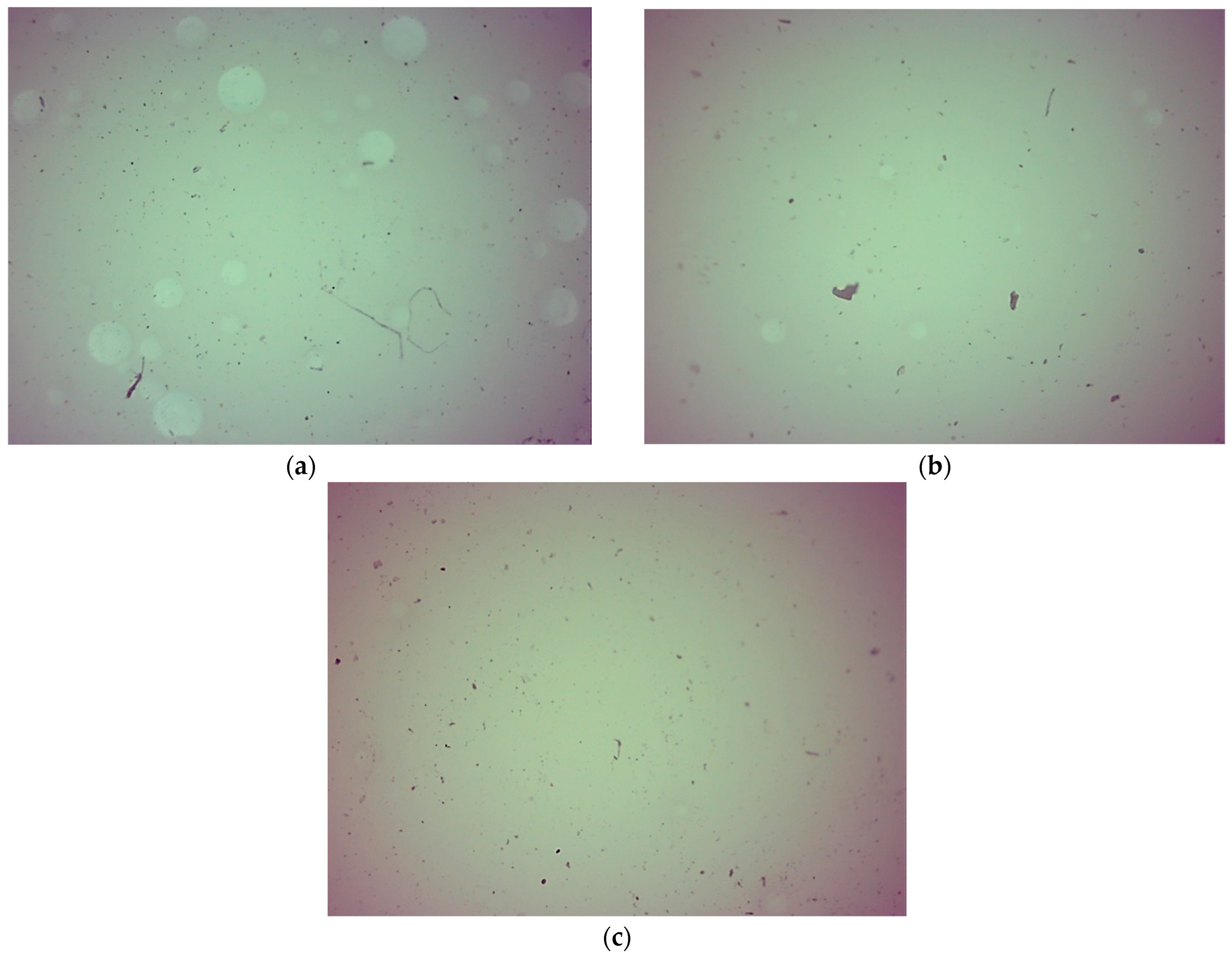 Ijms 23 11618 g013 Ijms 23 11618 g013