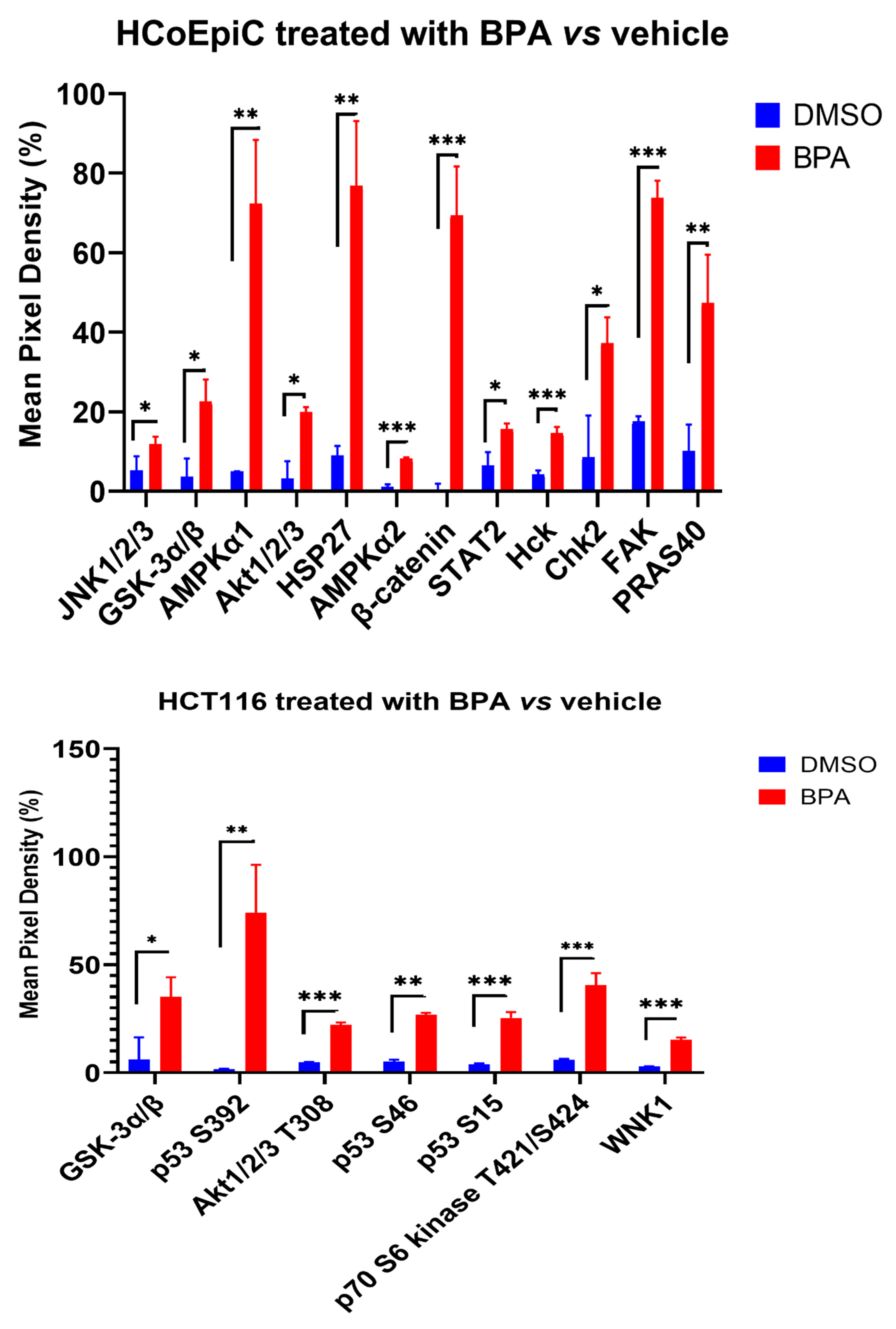 Ijms 23 11620 g003 Ijms 23 11620 g003