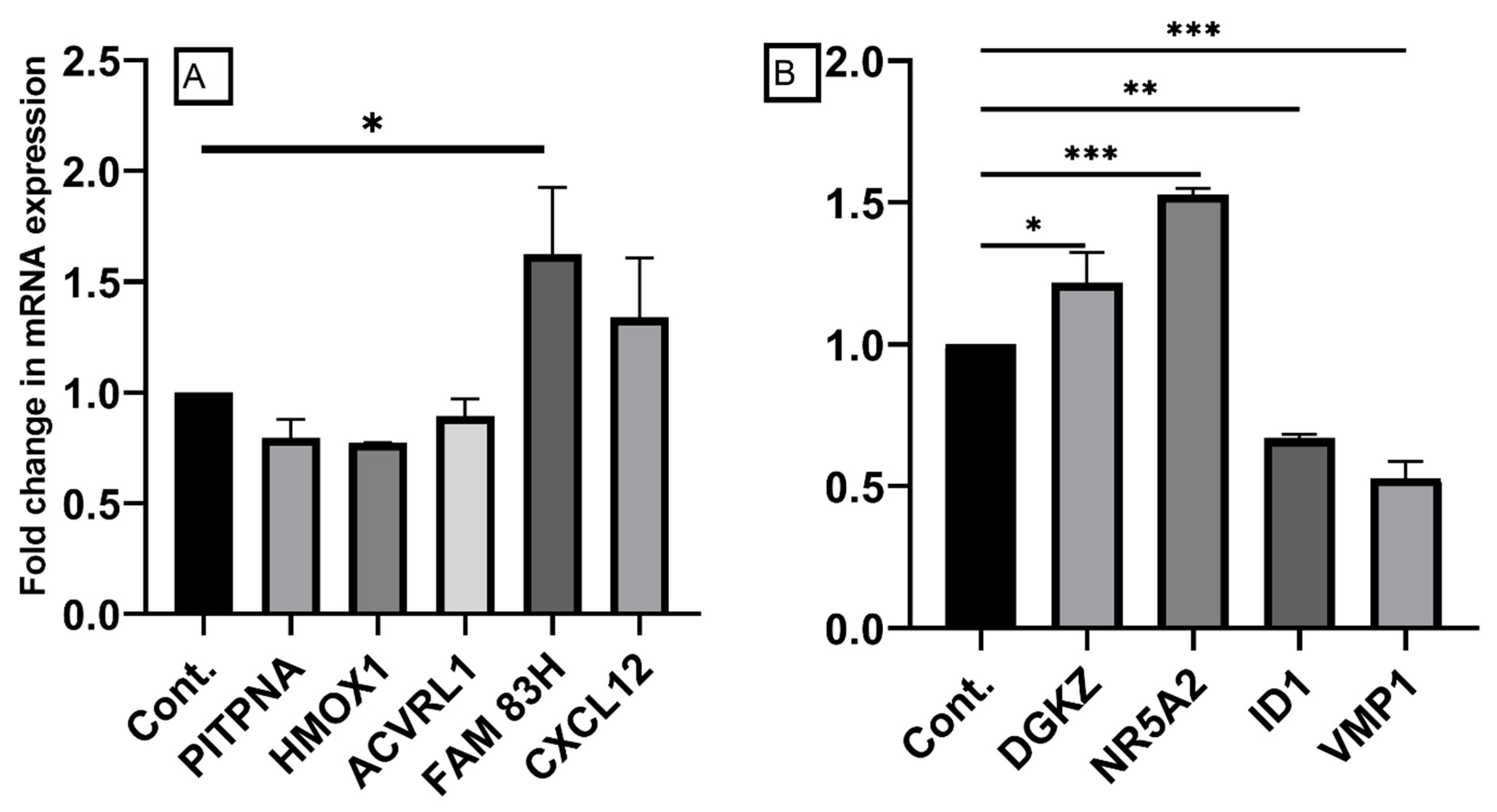 Ijms 23 11620 g005 Ijms 23 11620 g005