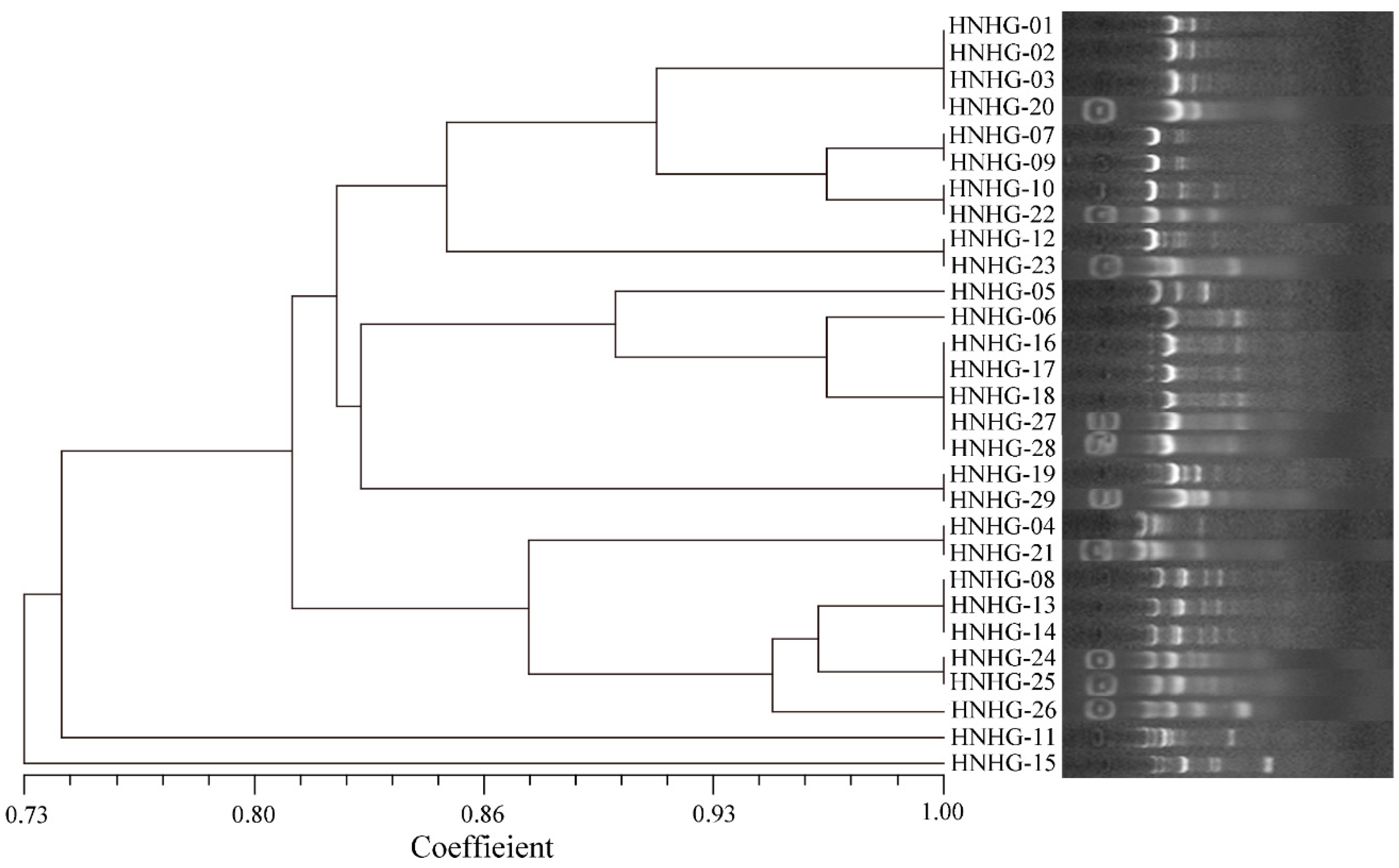 Ijms 23 11628 g001 Ijms 23 11628 g001