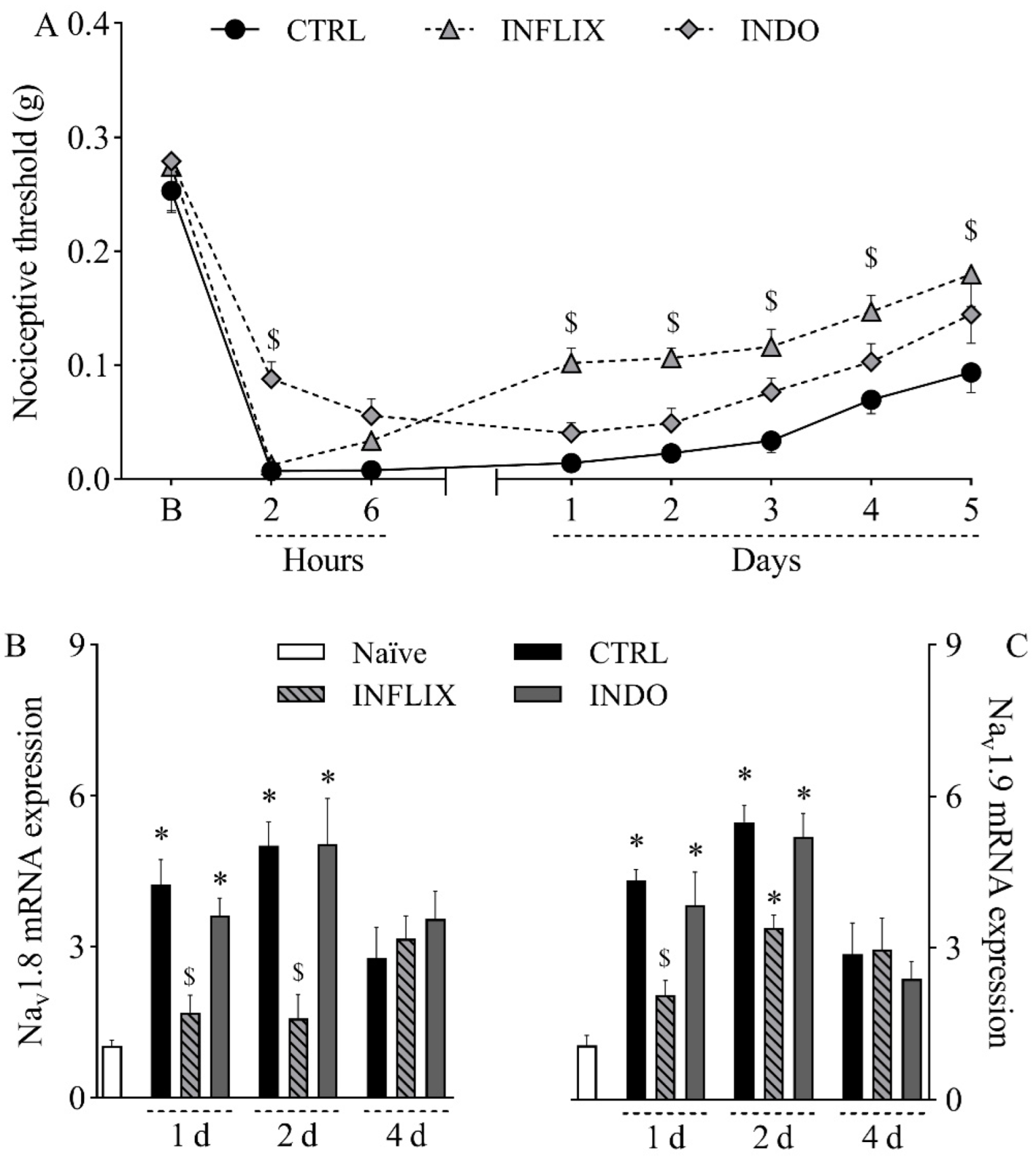 Ijms 23 11630 g004 Ijms 23 11630 g004