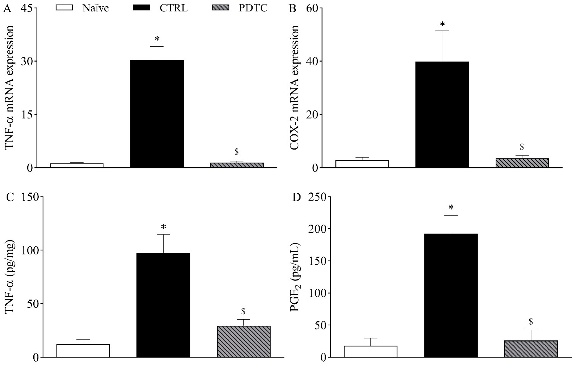 Ijms 23 11630 g006 Ijms 23 11630 g006