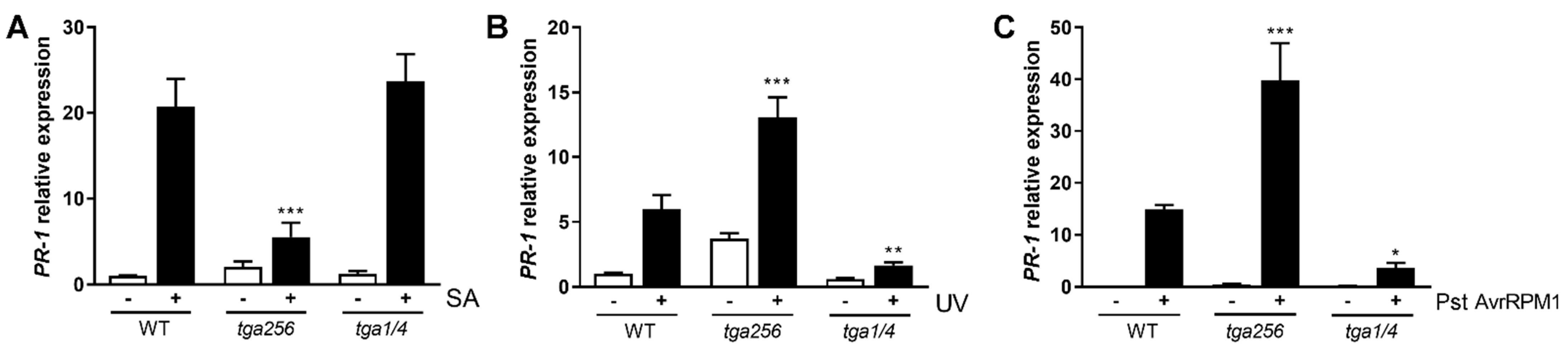 Ijms 23 11631 g001 Ijms 23 11631 g001