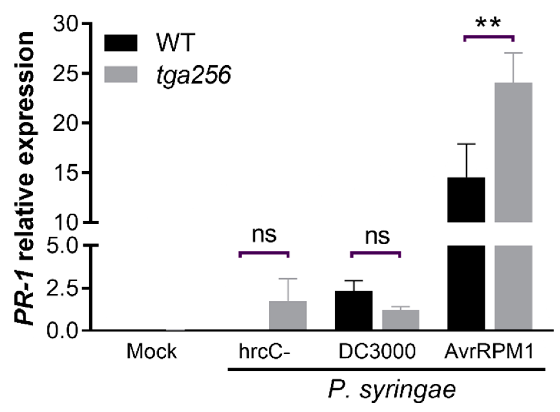 Ijms 23 11631 g002 Ijms 23 11631 g002