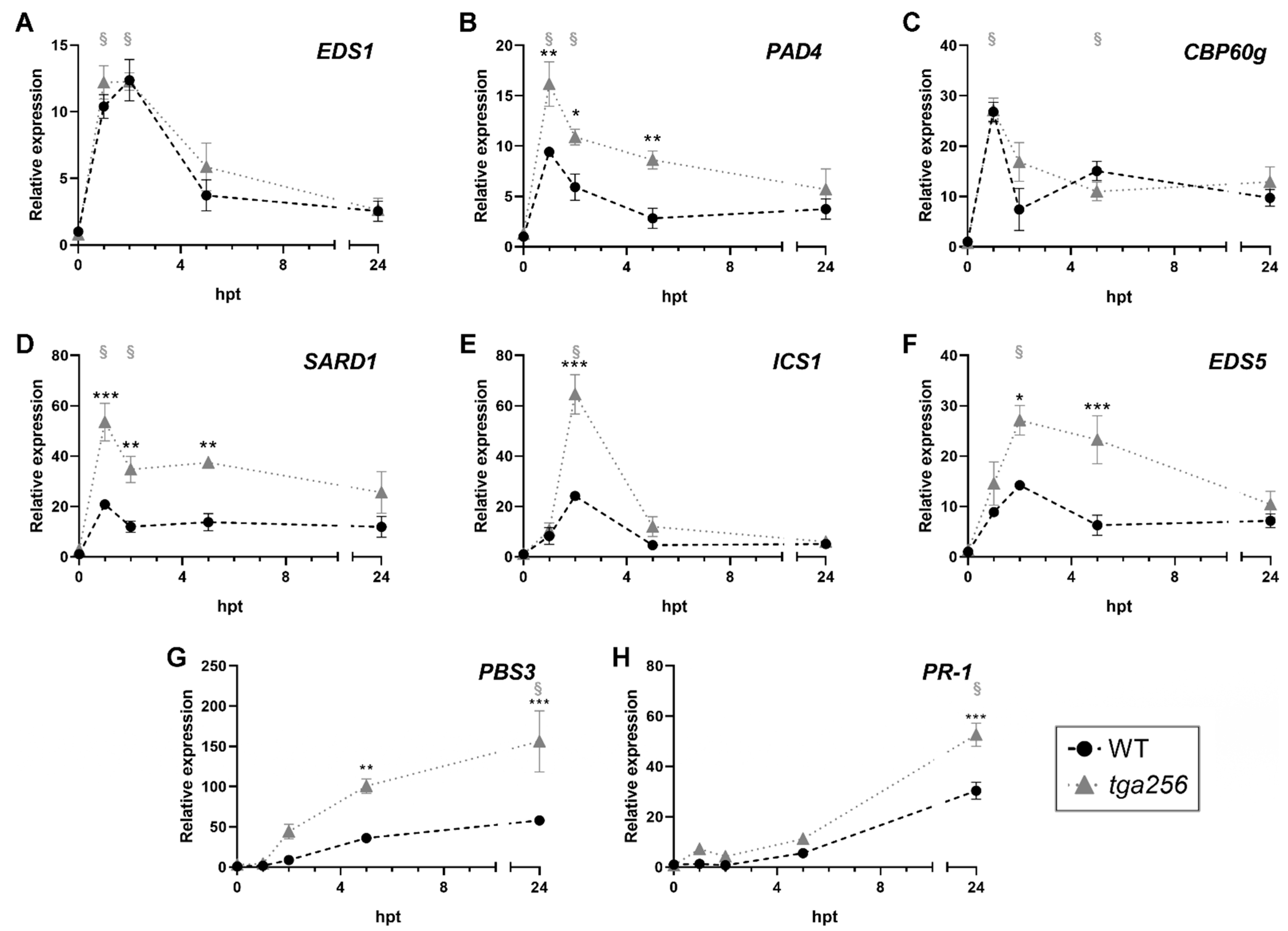 Ijms 23 11631 g003 Ijms 23 11631 g003