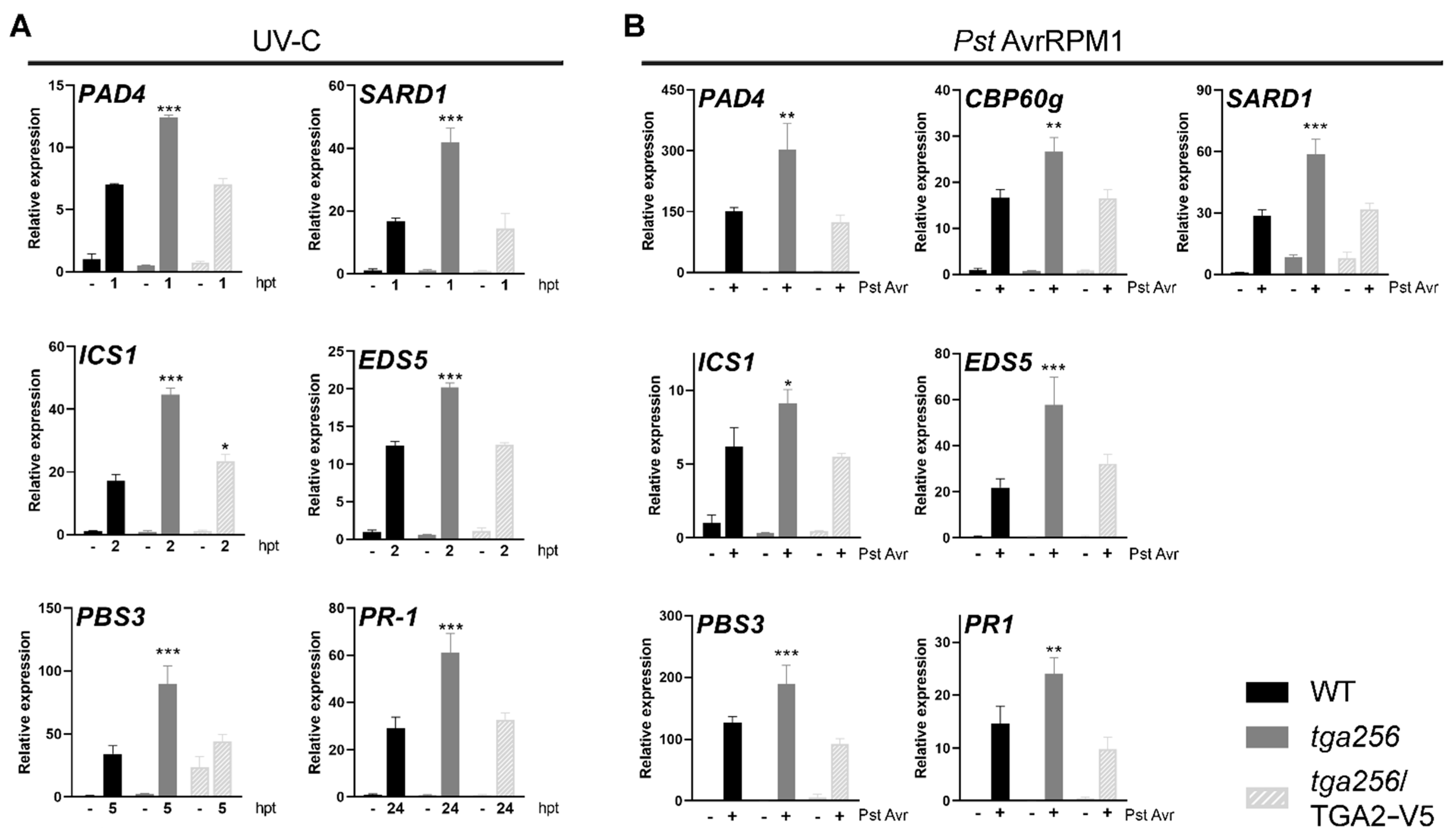 Ijms 23 11631 g005 Ijms 23 11631 g005