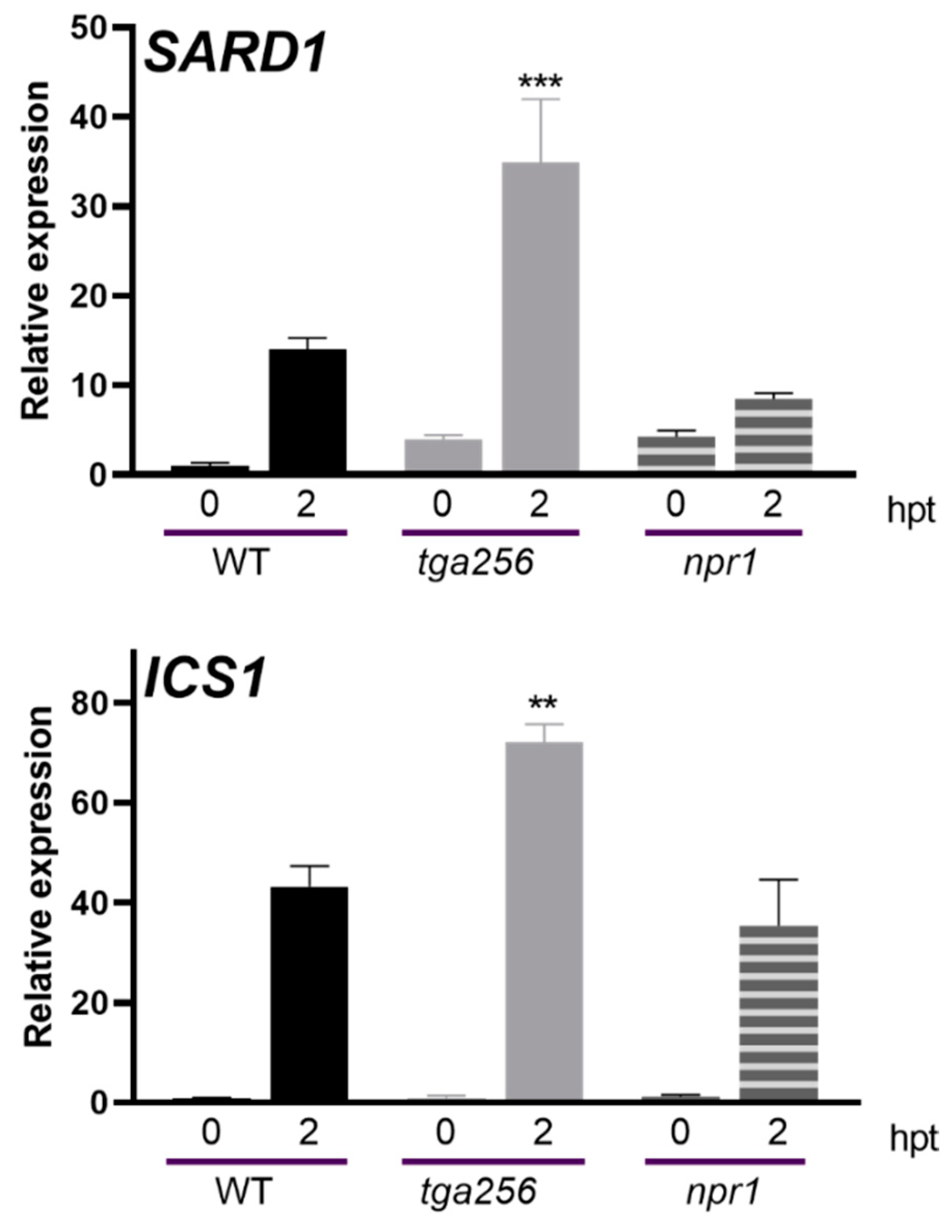 Ijms 23 11631 g007 Ijms 23 11631 g007