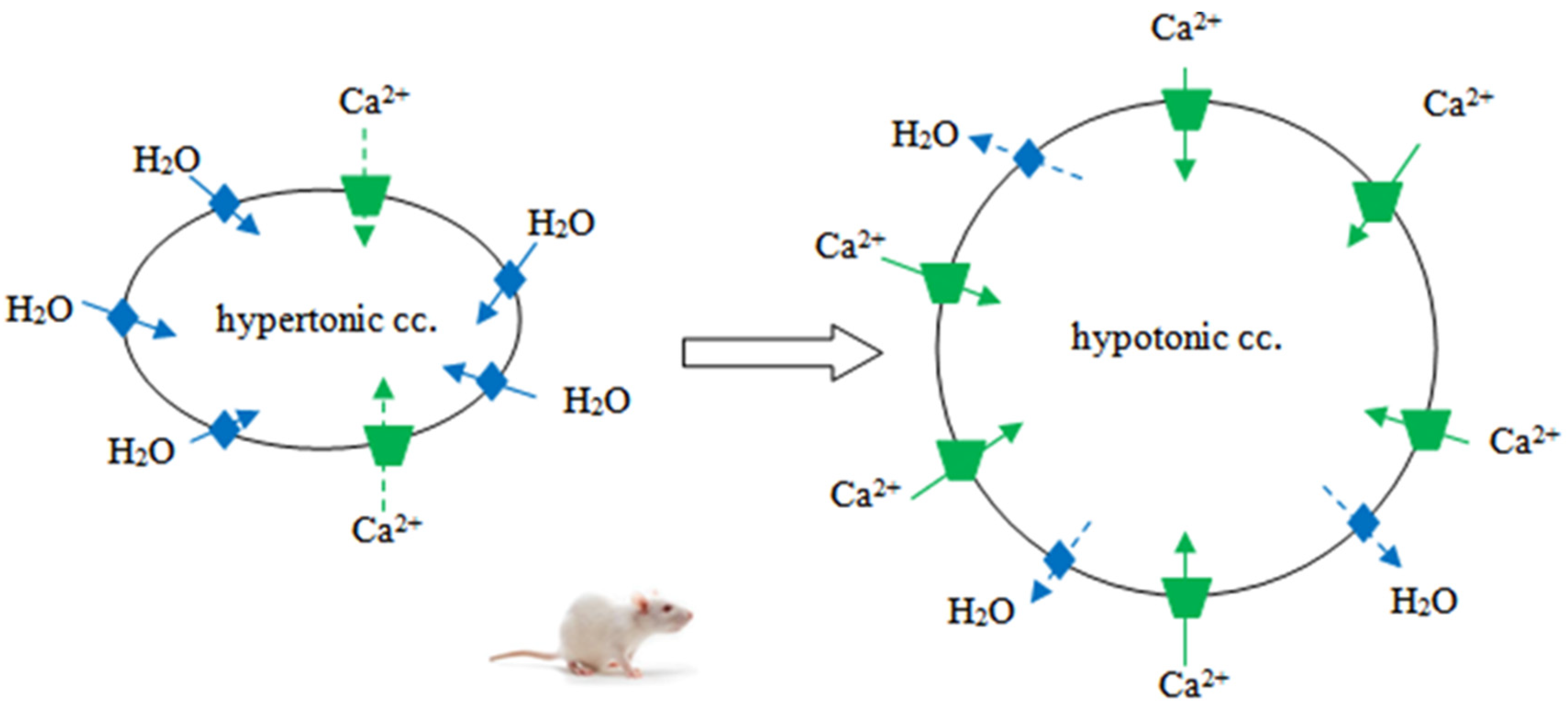 Ijms 23 11634 g001 Ijms 23 11634 g001