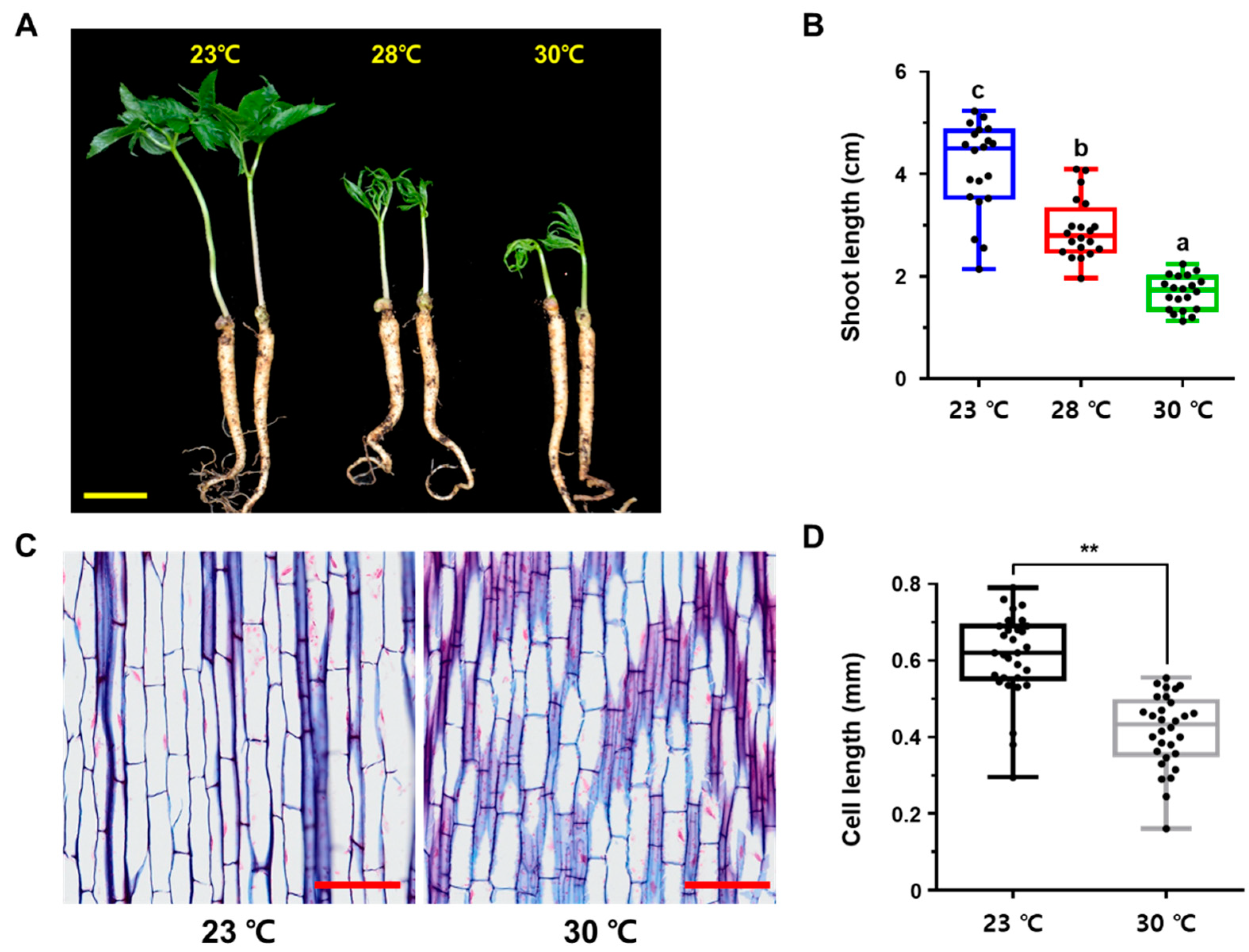 Ijms 23 11647 g001 Ijms 23 11647 g001