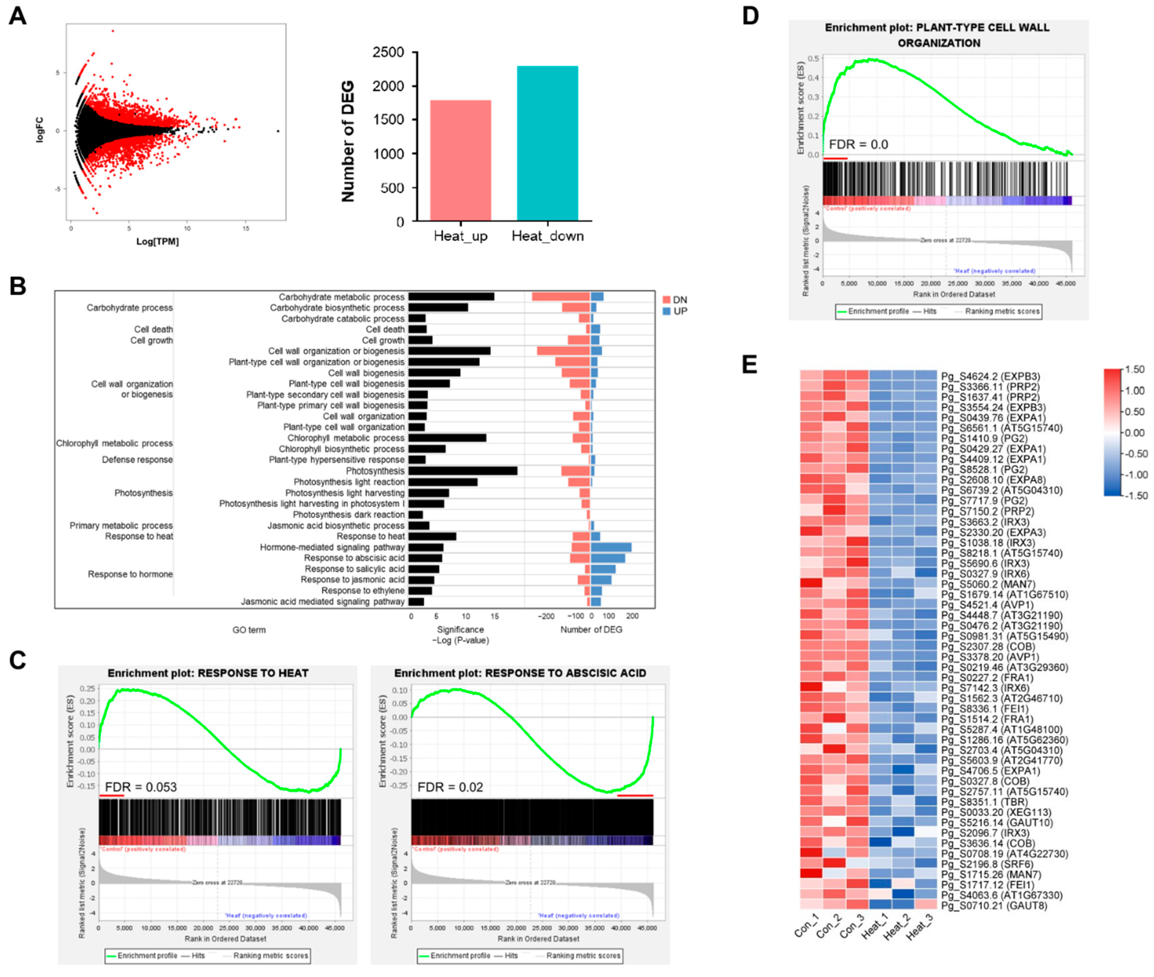 Ijms 23 11647 g002 Ijms 23 11647 g002