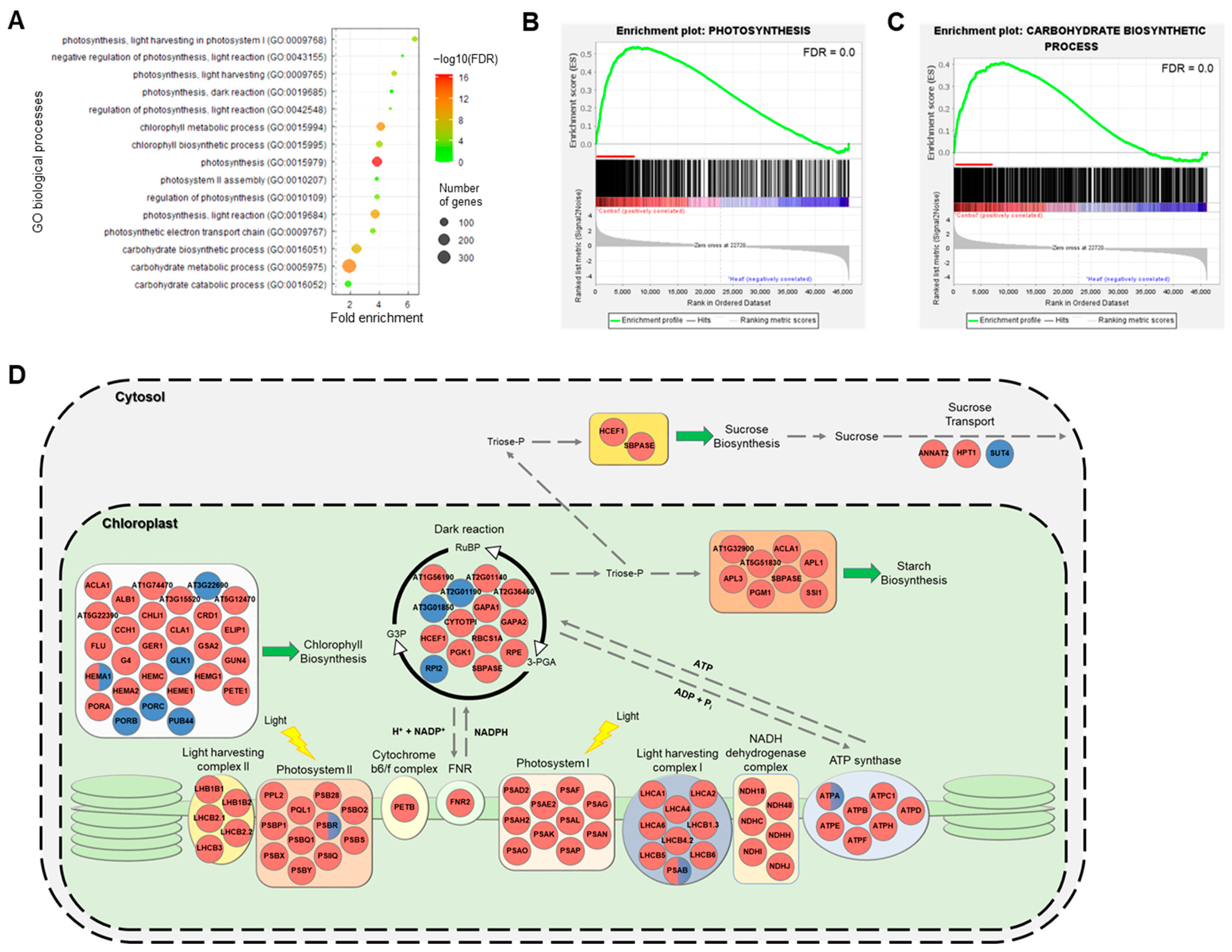 Ijms 23 11647 g004 Ijms 23 11647 g004
