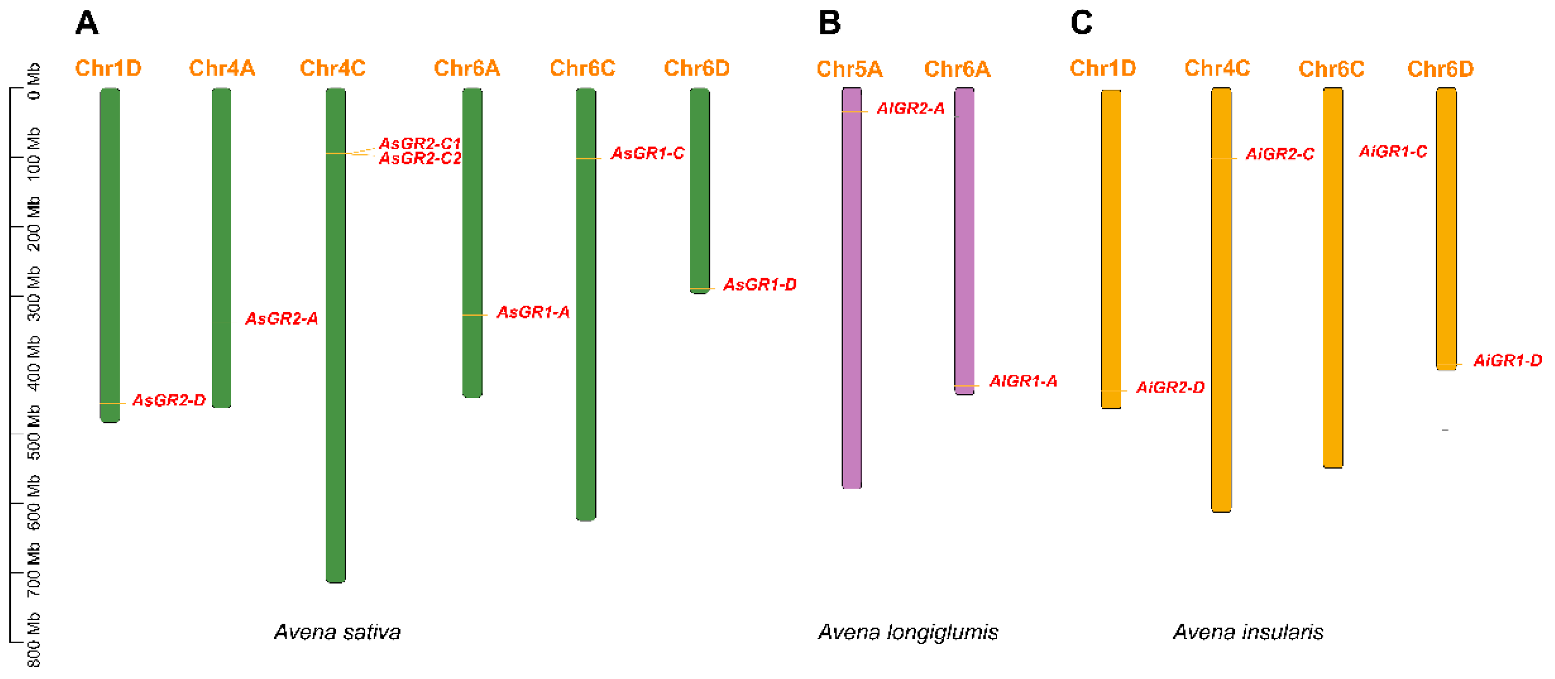 Ijms 23 11650 g001 Ijms 23 11650 g001