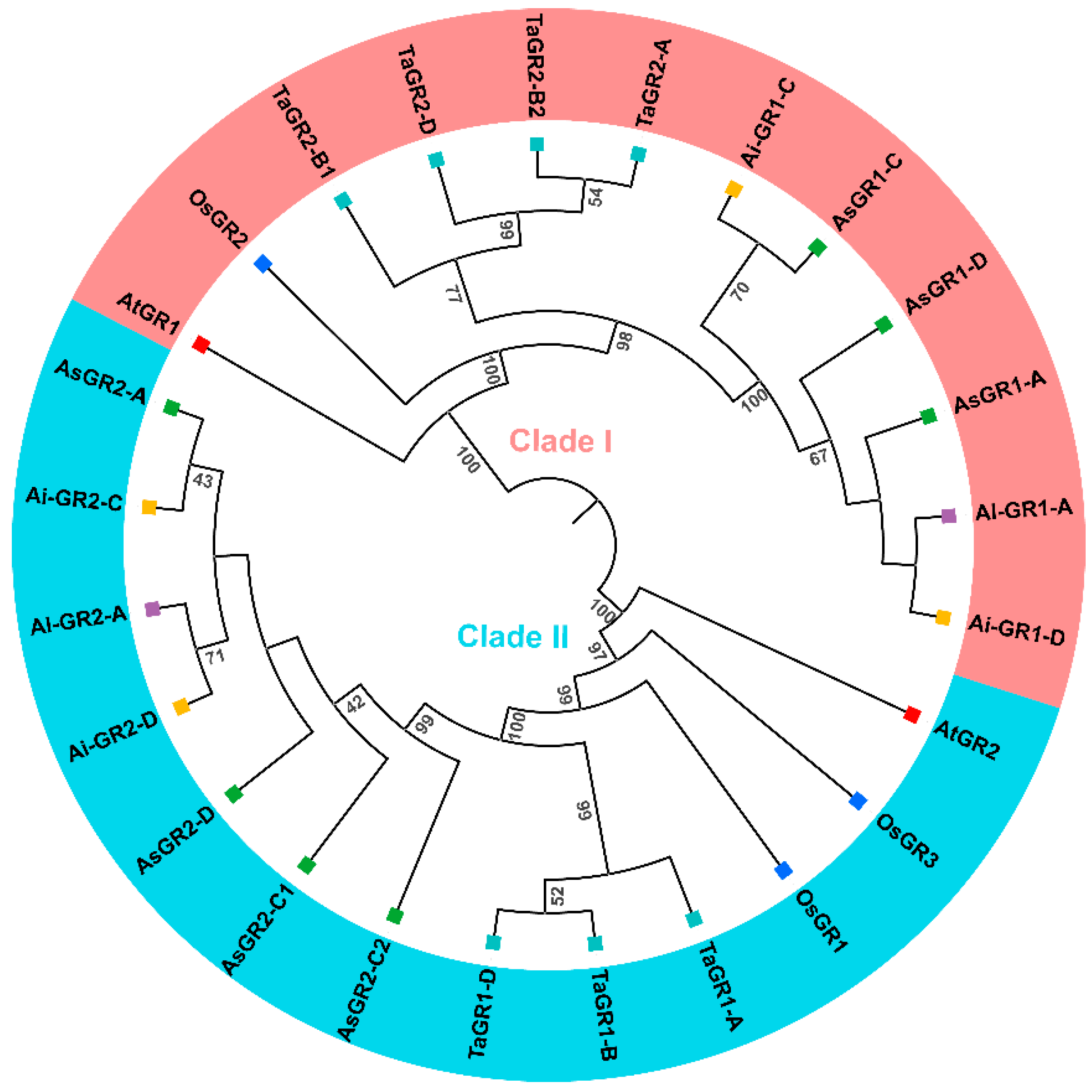 Ijms 23 11650 g002 Ijms 23 11650 g002
