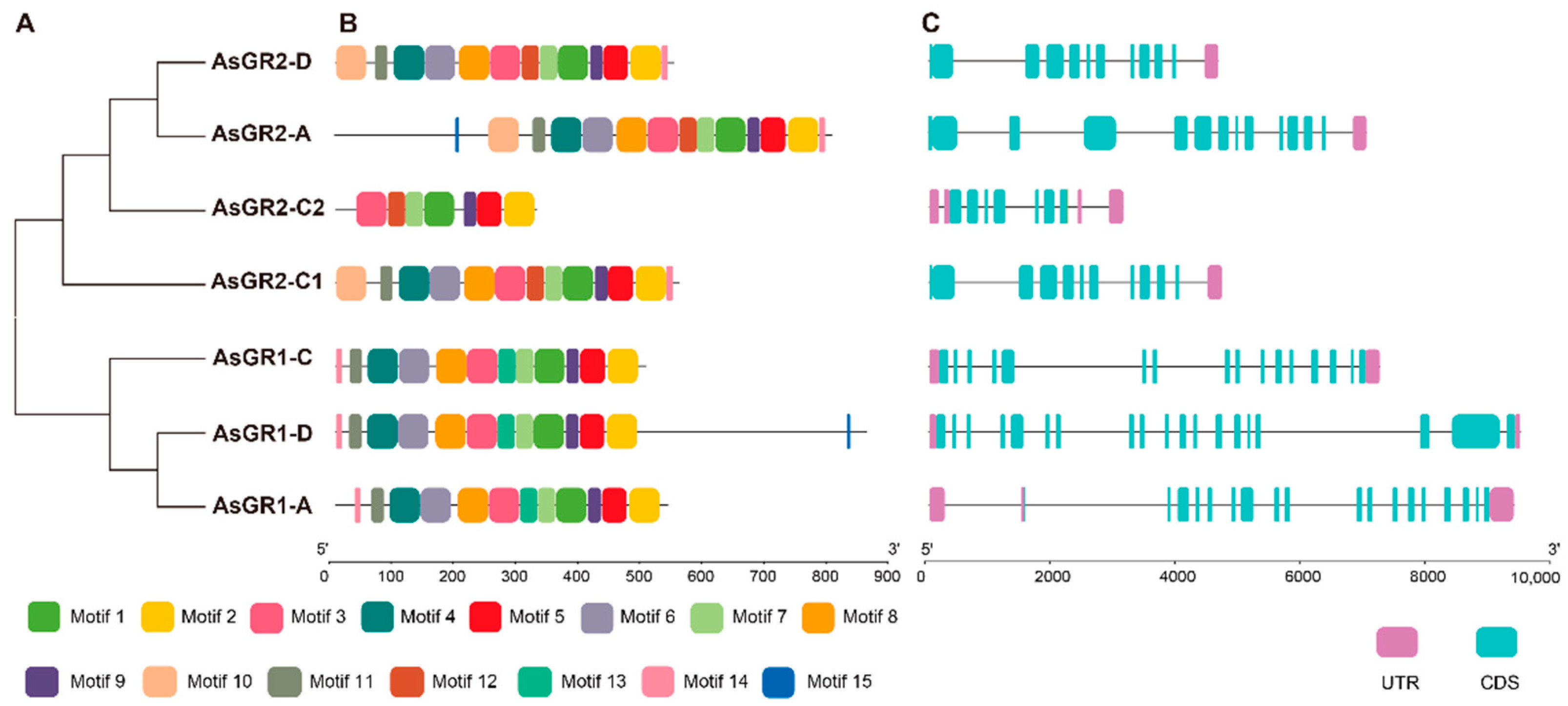 Ijms 23 11650 g003 Ijms 23 11650 g003