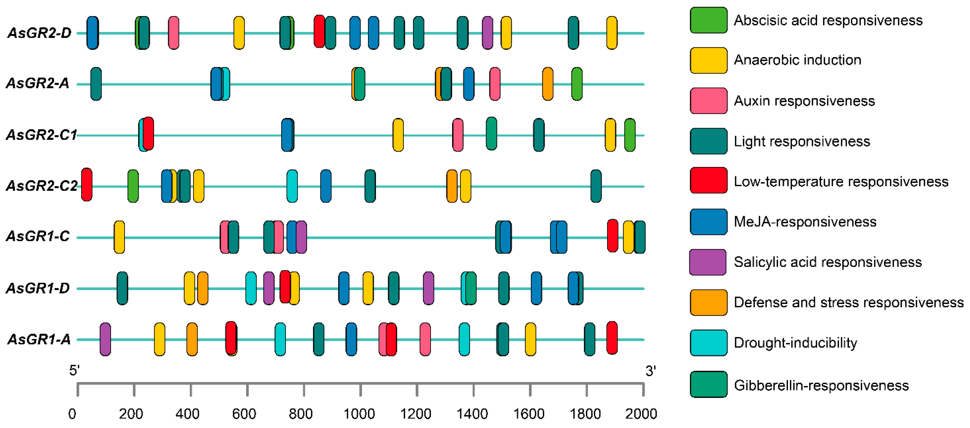 Ijms 23 11650 g006 Ijms 23 11650 g006