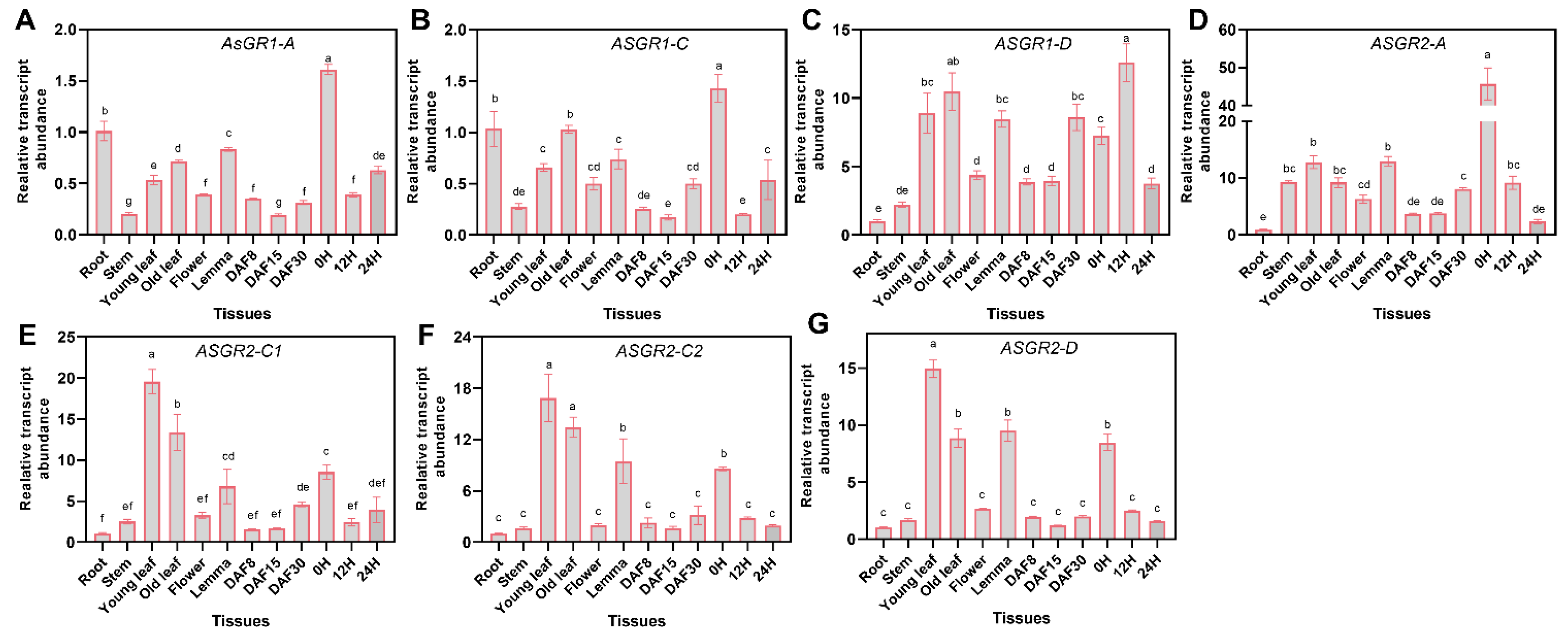 Ijms 23 11650 g007 Ijms 23 11650 g007