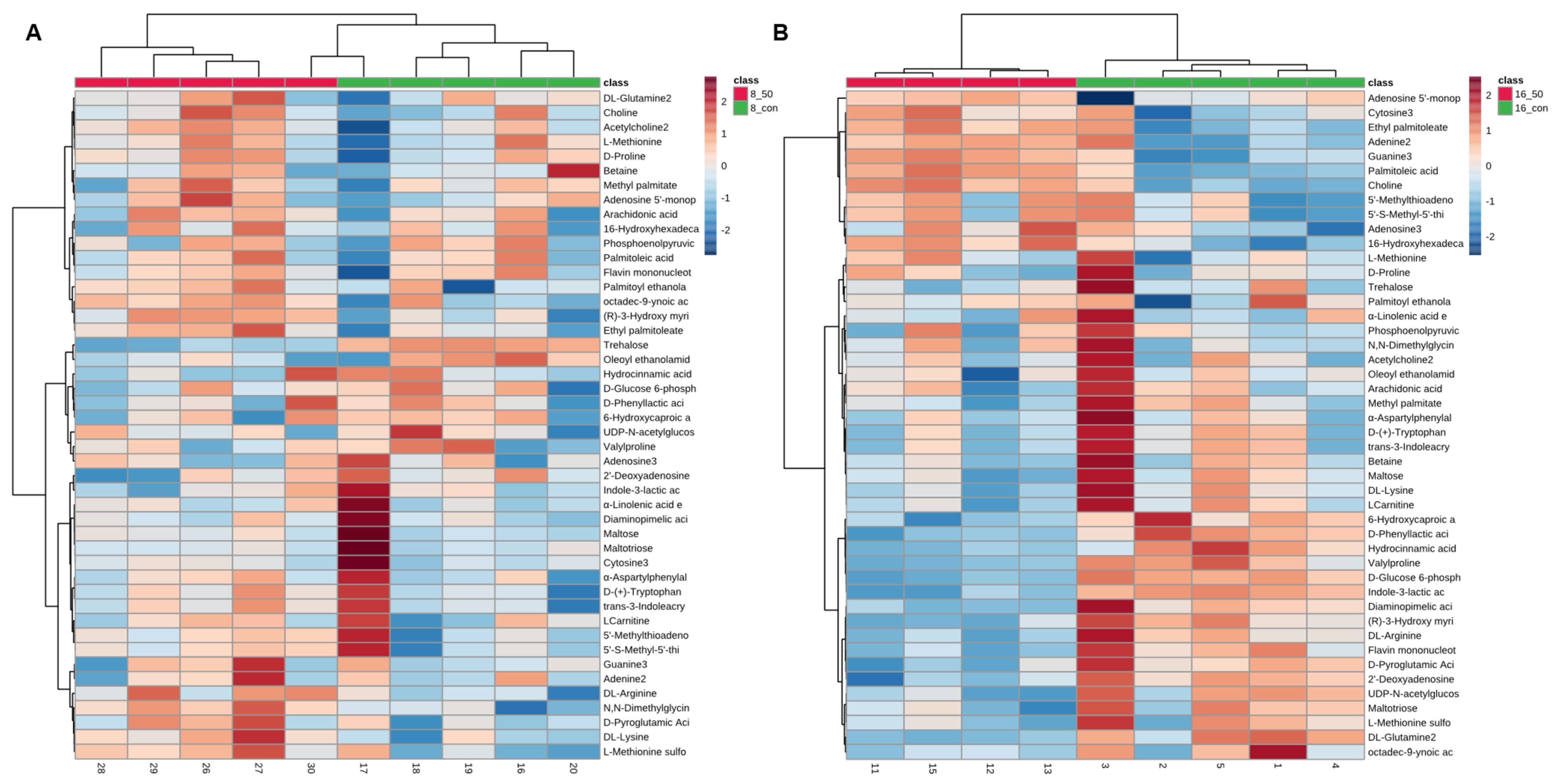 Ijms 23 11652 g005 Ijms 23 11652 g005