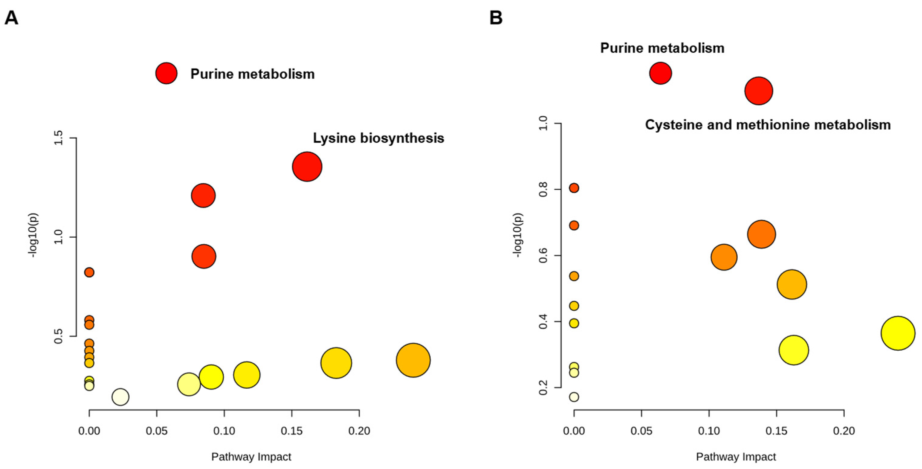 Ijms 23 11652 g006 Ijms 23 11652 g006