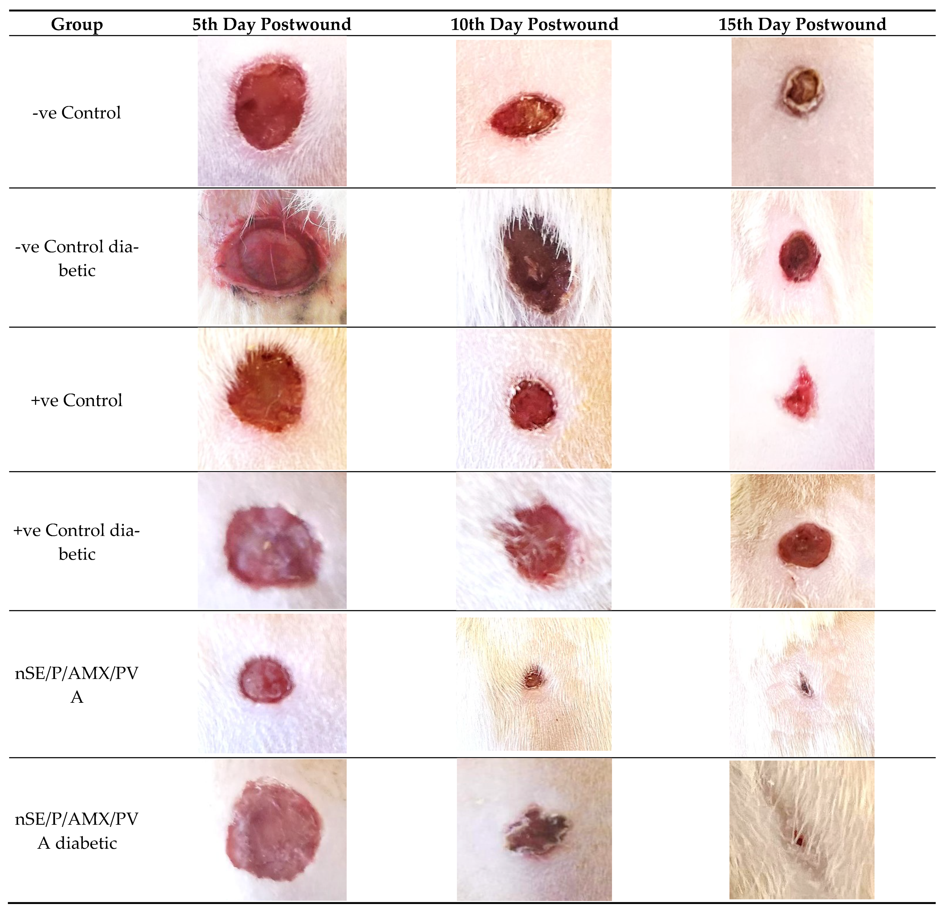 Ijms 23 11654 g006 Ijms 23 11654 g006