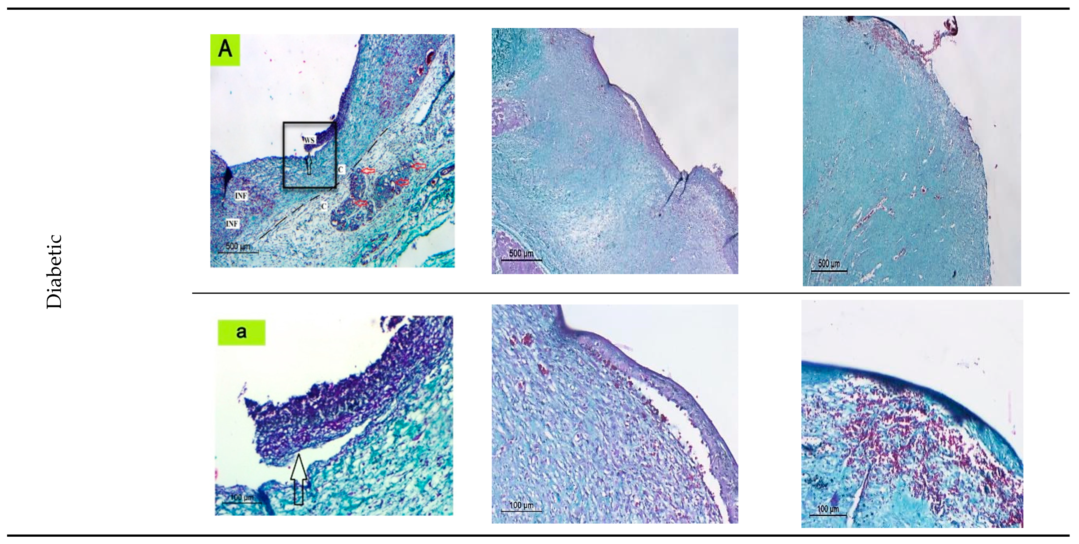 Ijms 23 11654 g007c Ijms 23 11654 g007c